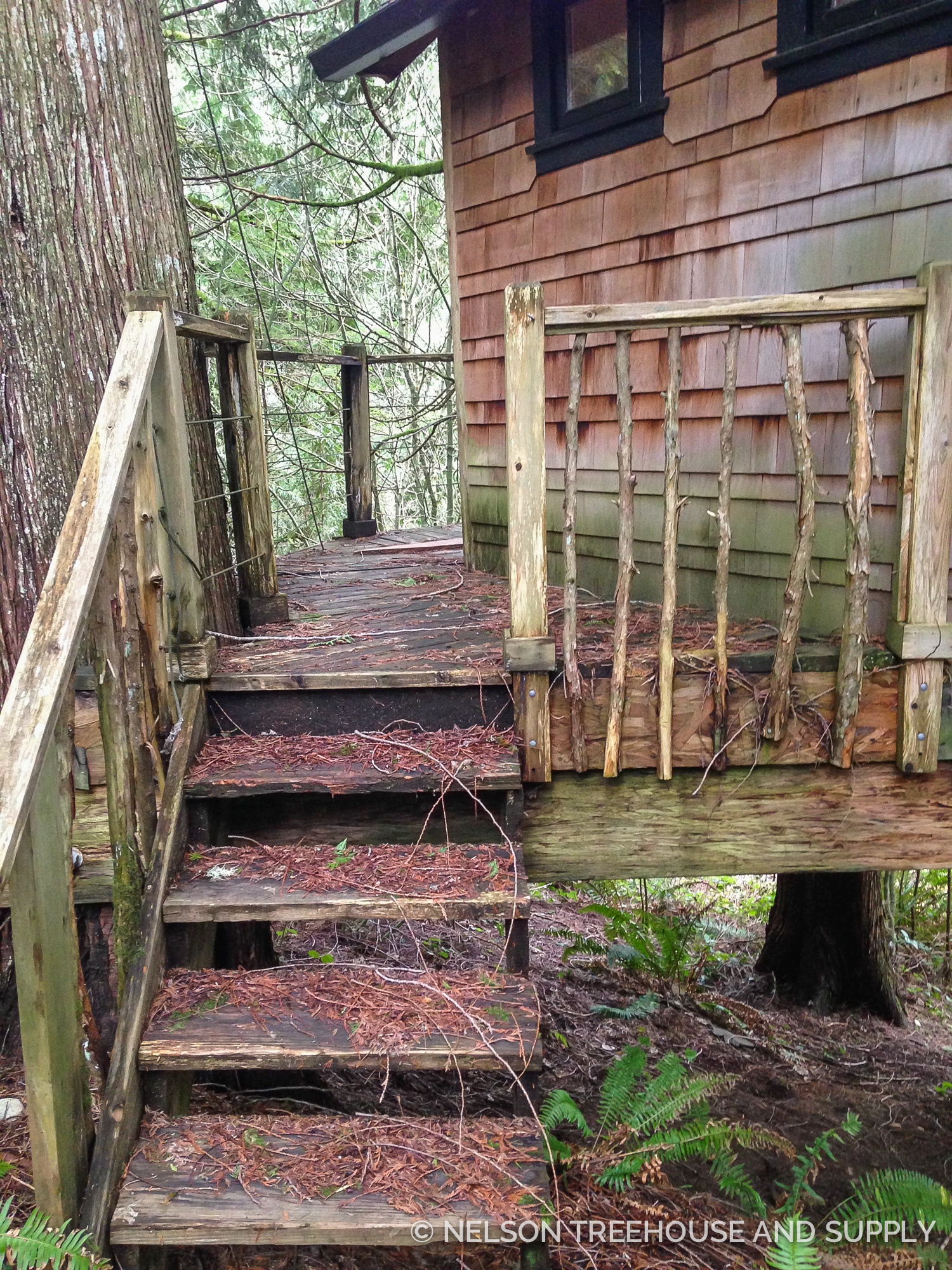 treehousefriday: Two Treehouse Remodels! - Nelson Treehouse