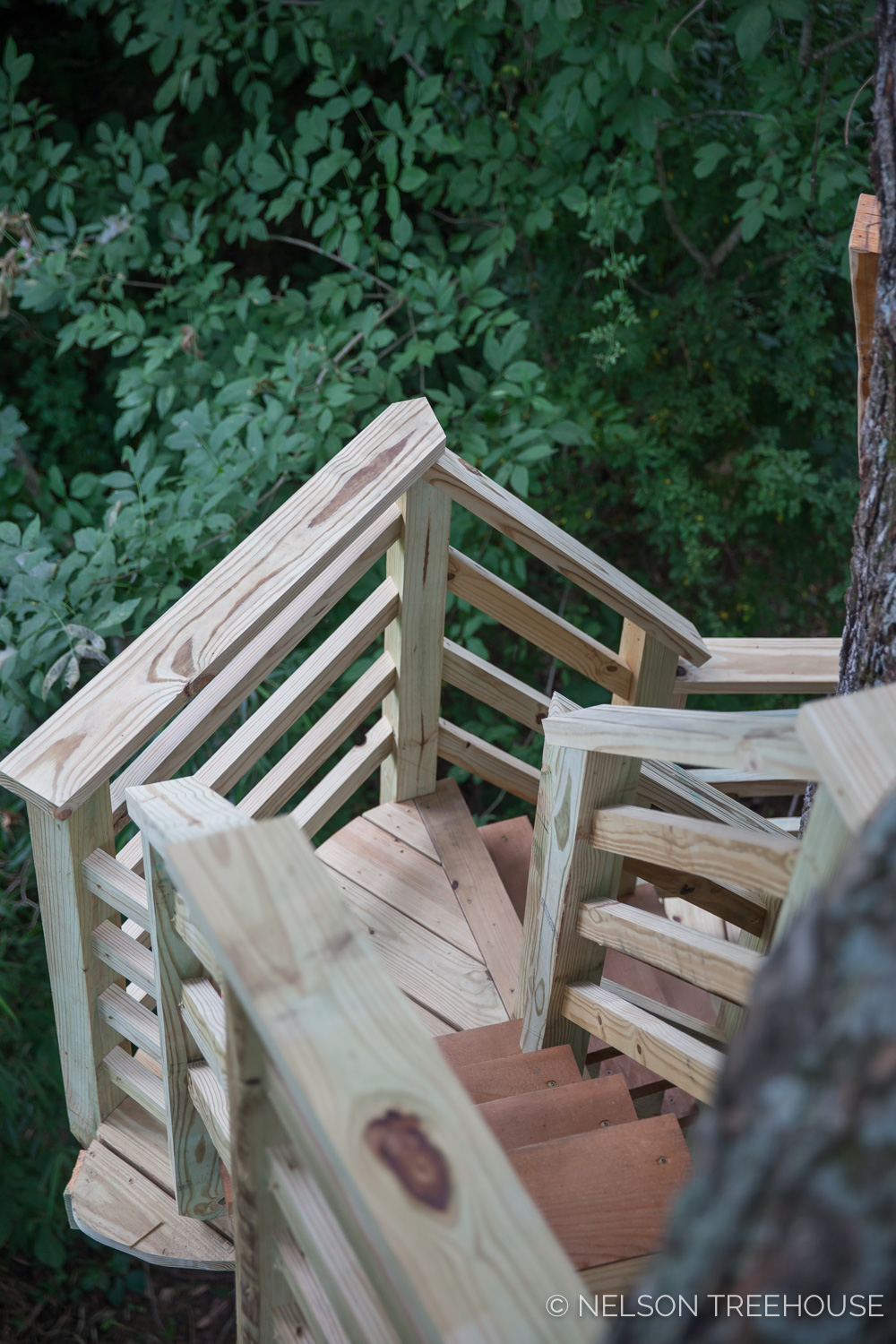  TenNessee Riverbank Treehouse Staircase 