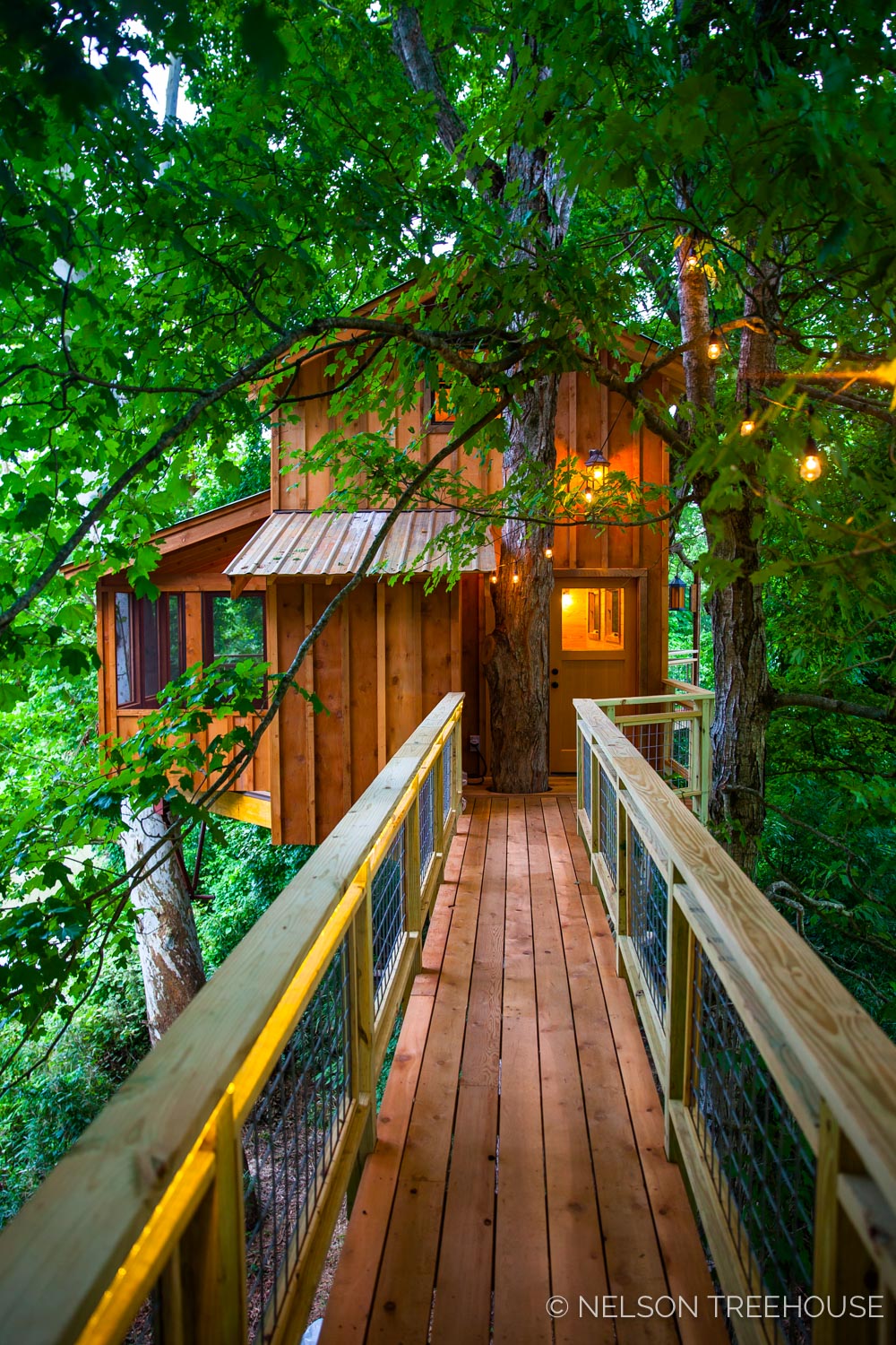  TenNessee Riverbank Treehouse Facade 