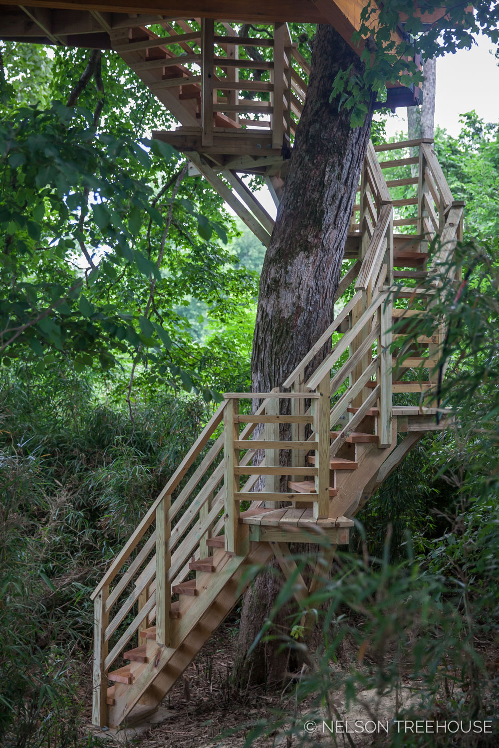  TenNessee Riverbank Treehouse Spiral Staircase 