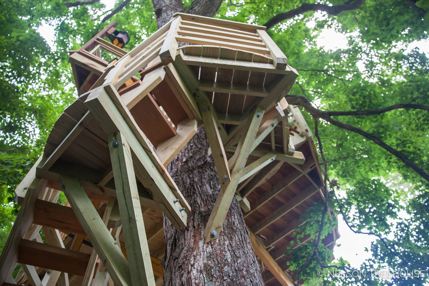  TenNessee Riverbank Treehouse Platform 