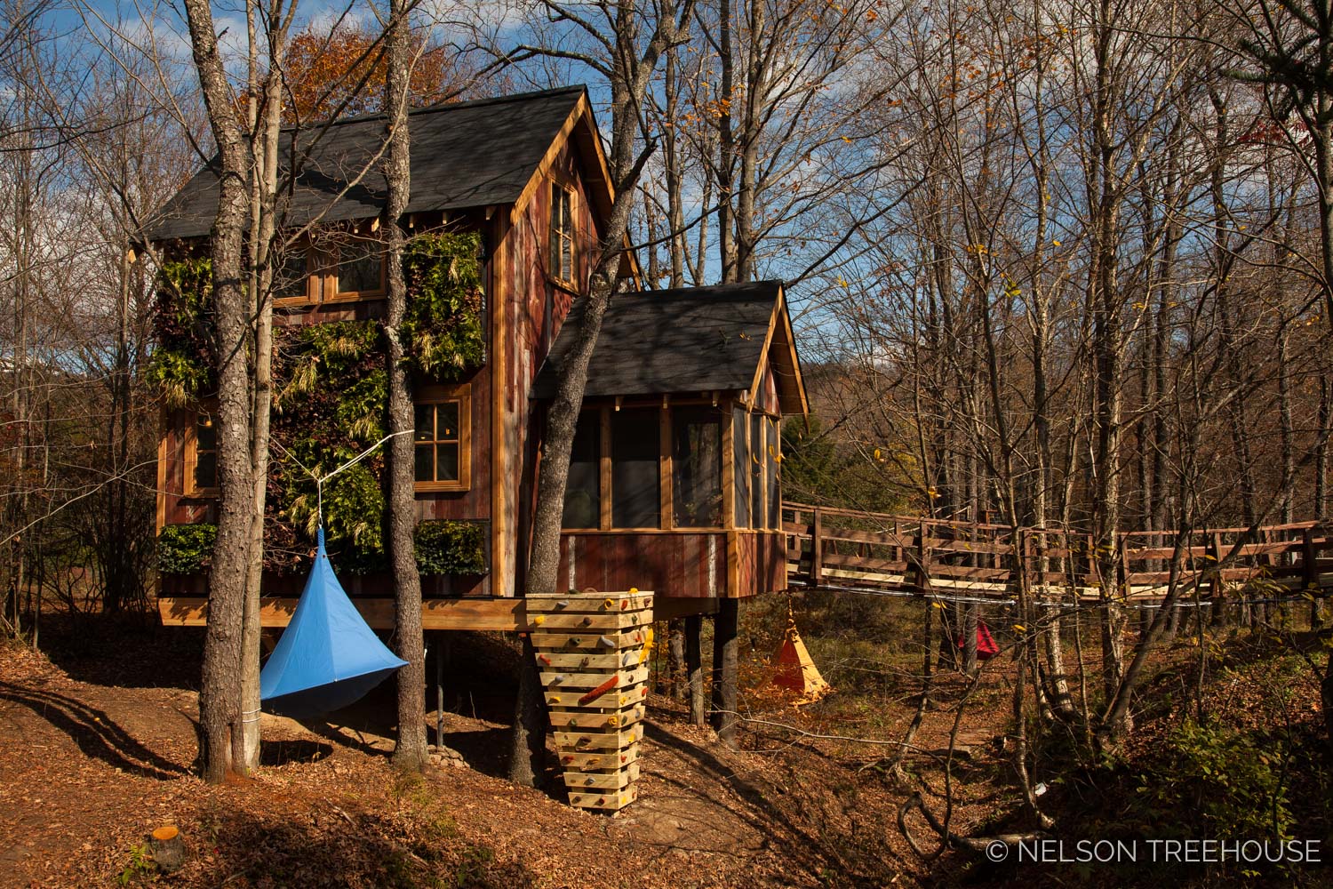  Nelson Treehouse - Adventure TEmple Rock Wall 