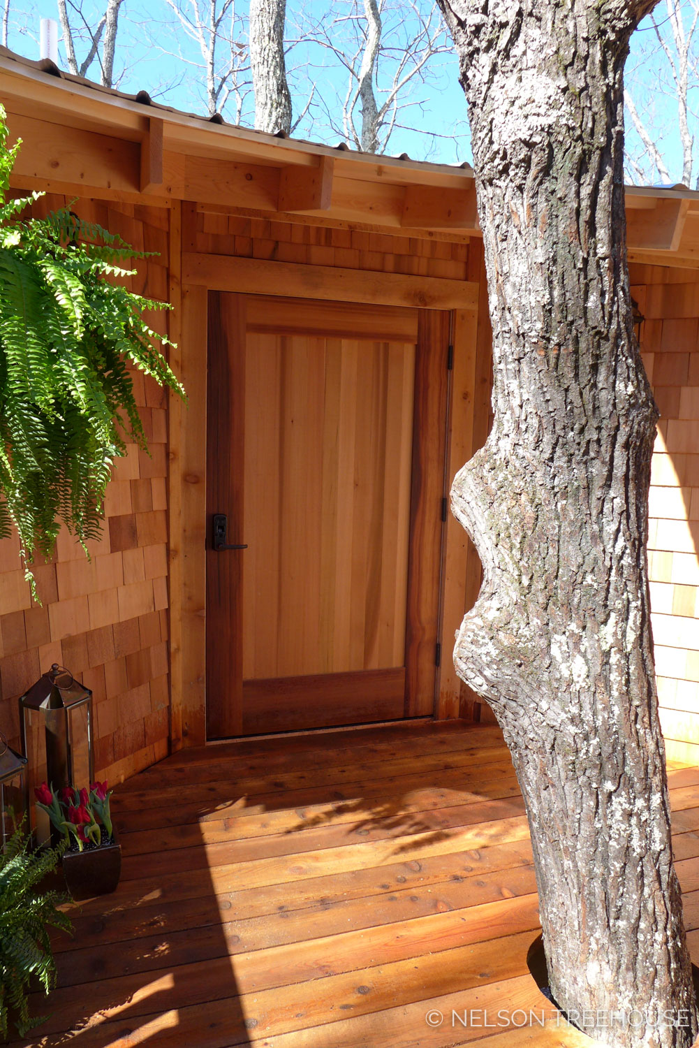 Super Spy Treehouse - Nelson Treehouse 2018 - Front door 