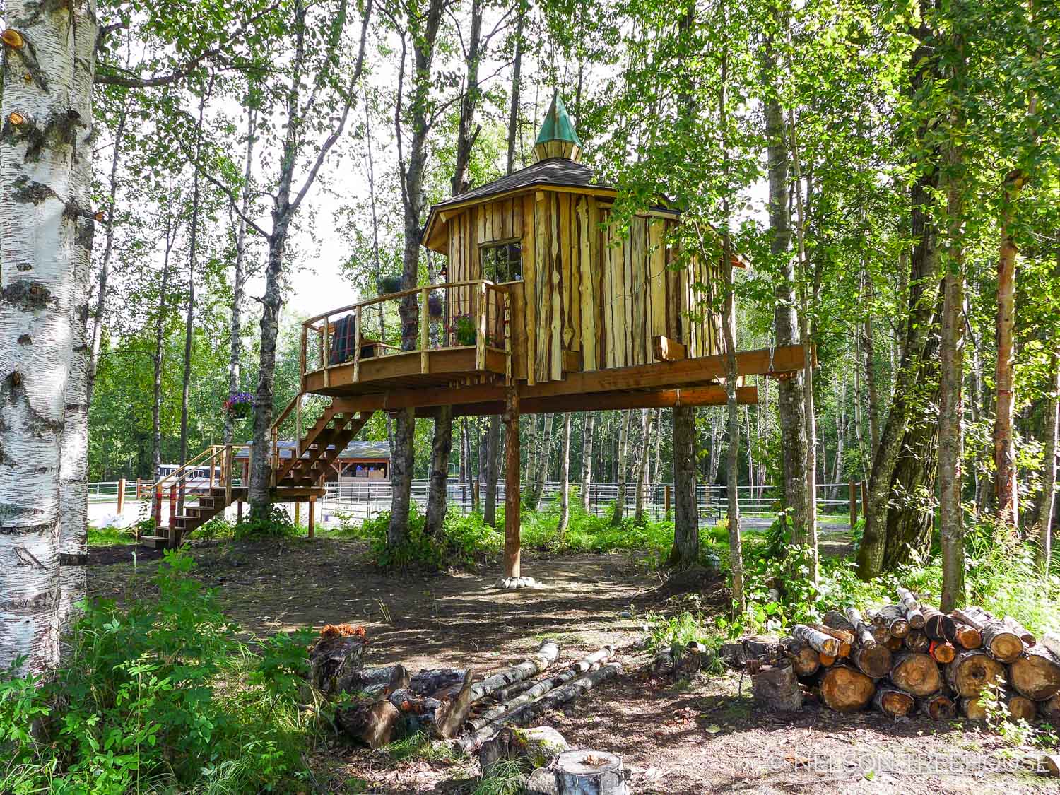  Alaskan treetop sauna - Nelson Treehouse 
