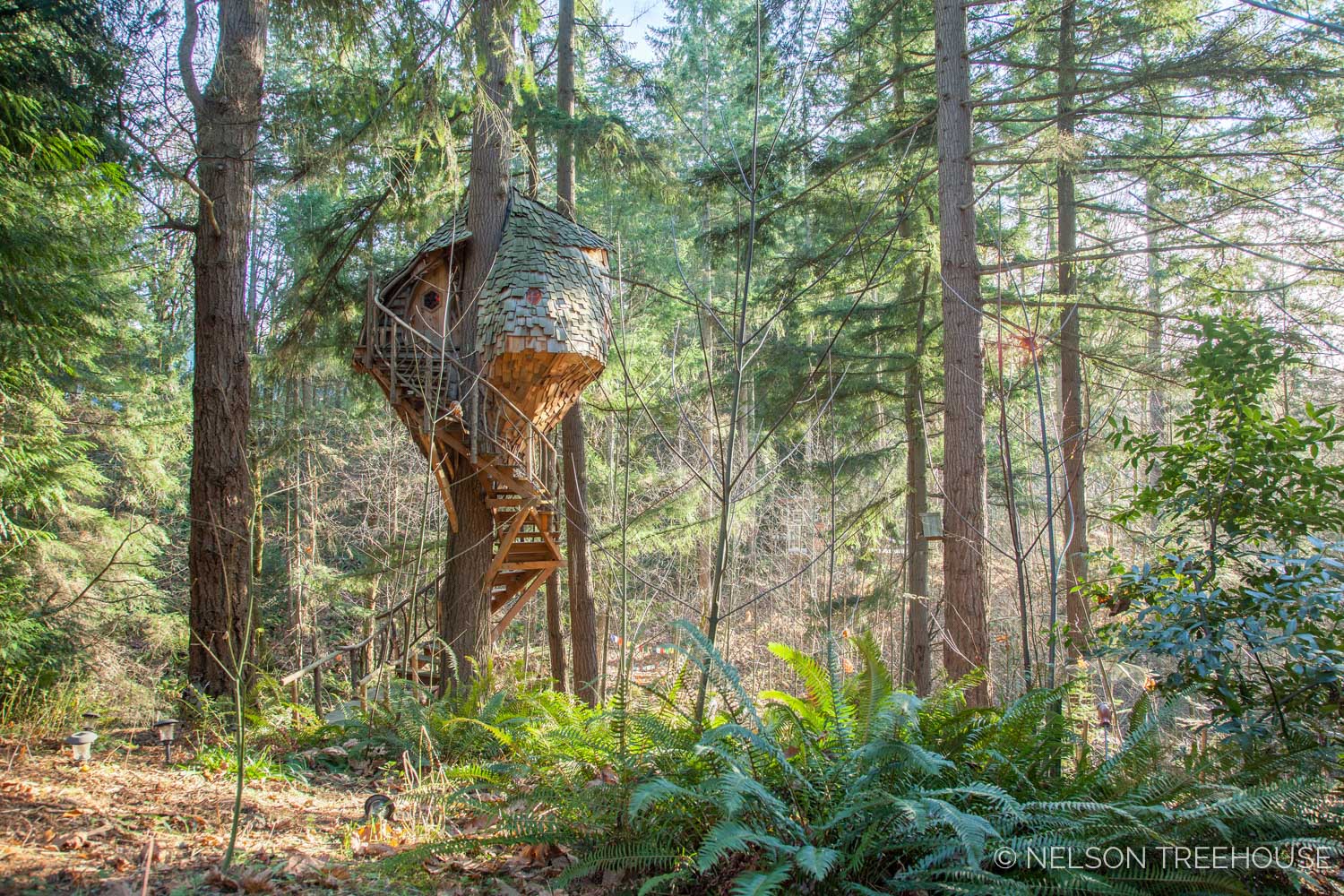  Beehive Treehouse in the forest 