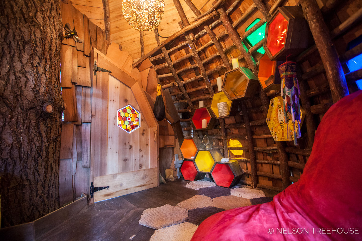  Inside the Beehive Treehouse 