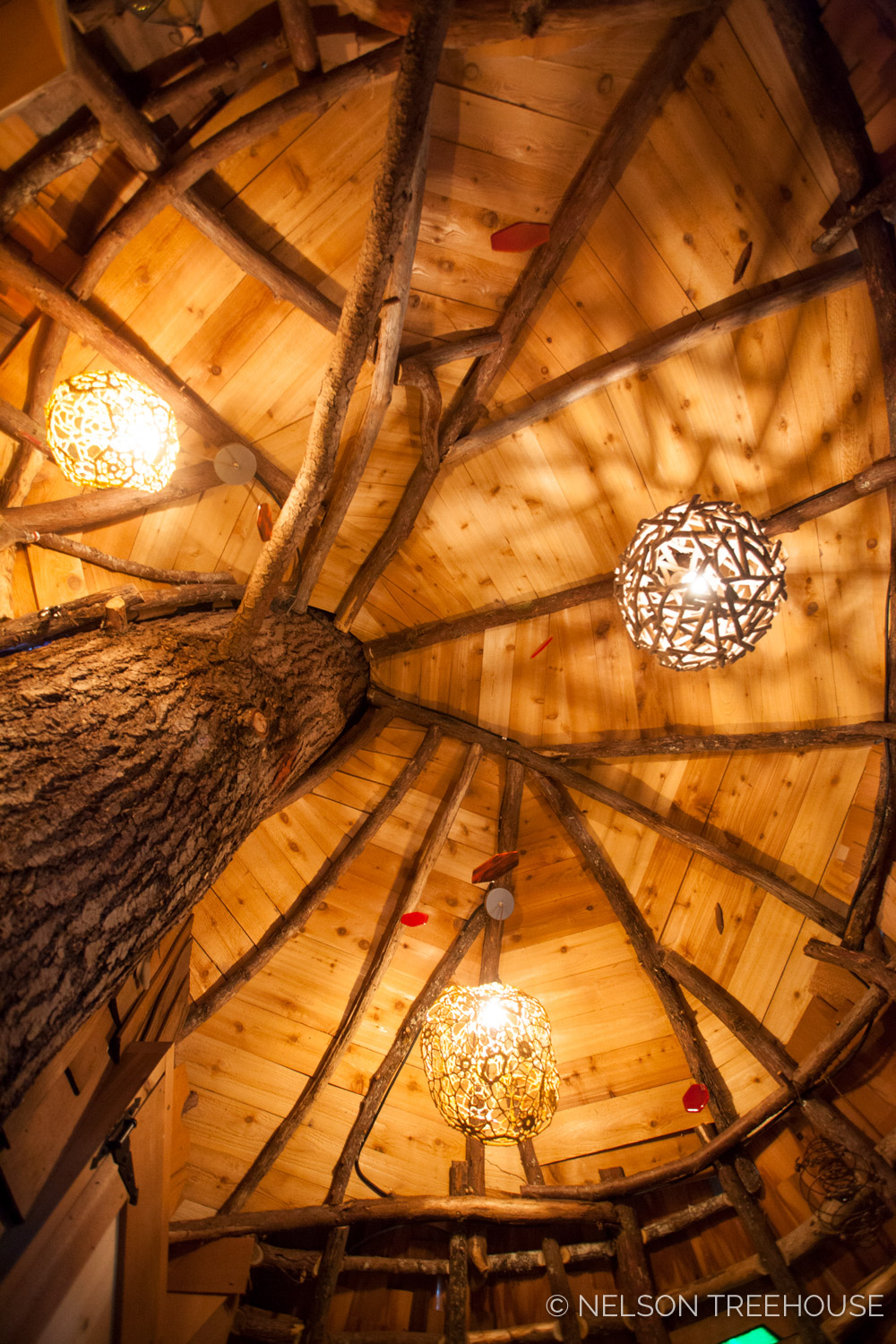  Ceiling of the beehive treehouse 