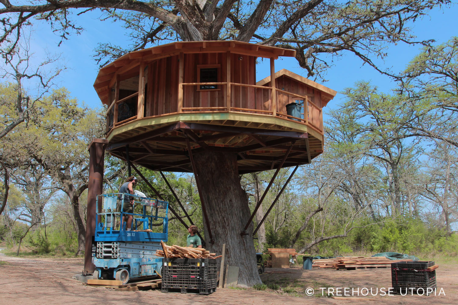  Bibliotheque in progress at Treehouse Utopia 