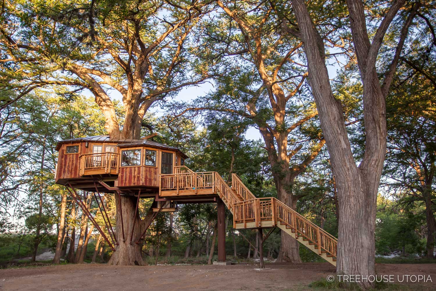  Carousel at Treehouse Utopia 