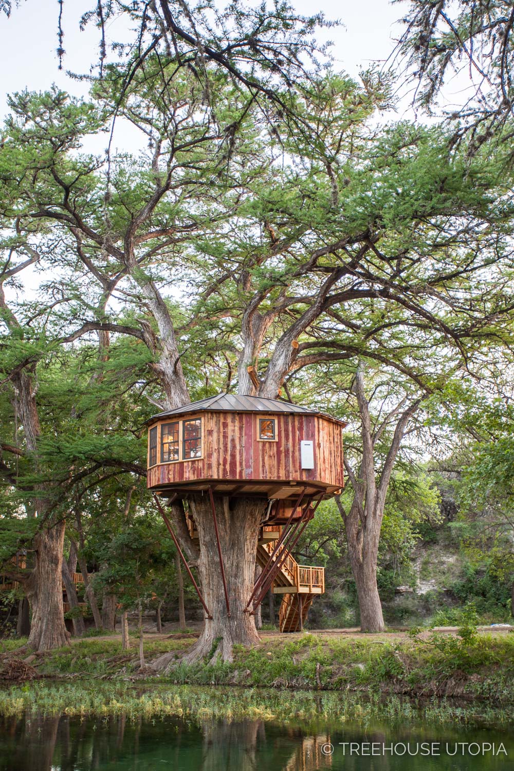  Carousel at Treehouse Utopia 