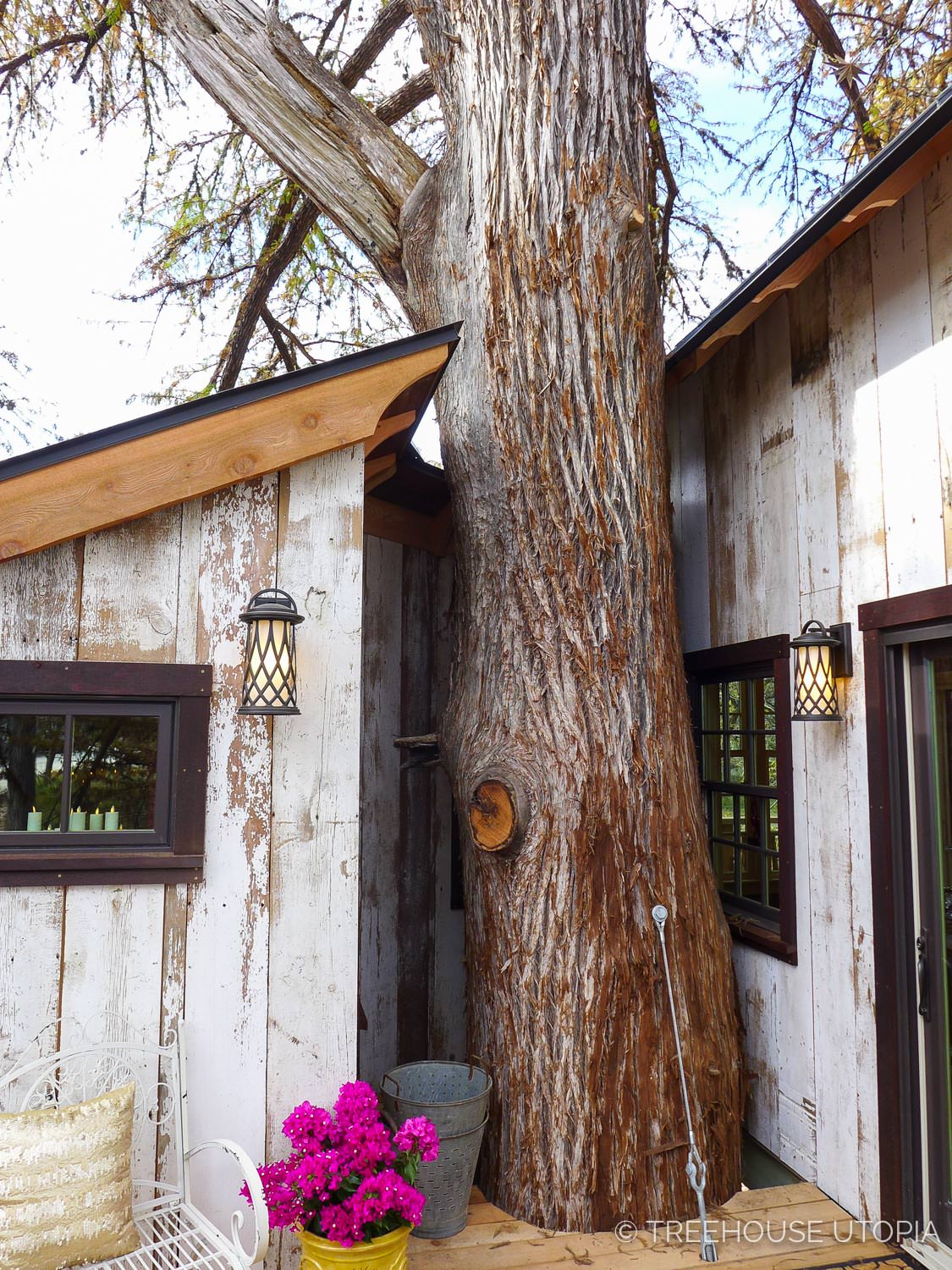  Cypress through back deck on Chapelle at Treehouse Utopia, a Texas Hill Country Retreat. Photo by Nelson Treehouse. 