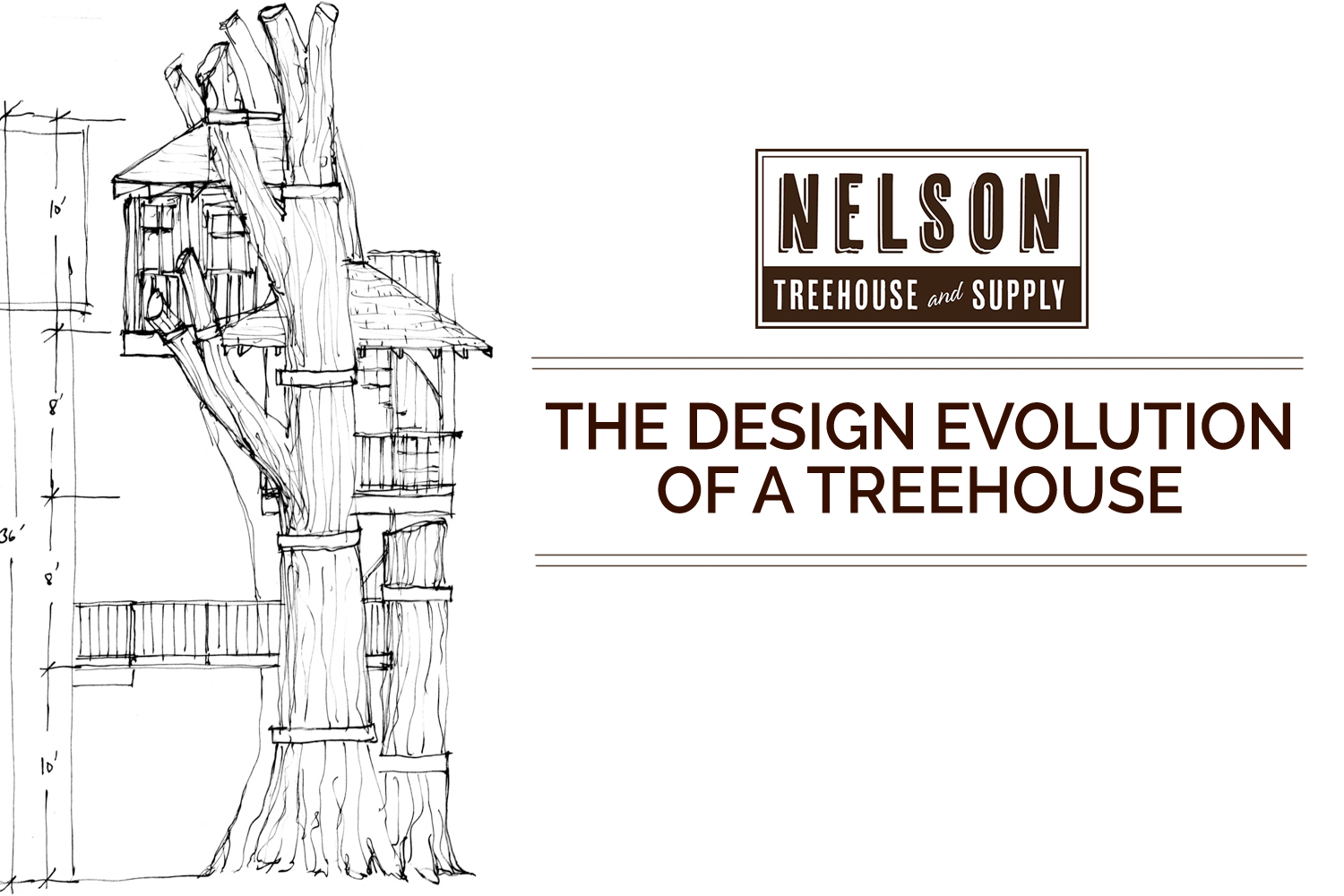 6-steps-of-the-nelson-treehouse-design-process-nelson-treehouse