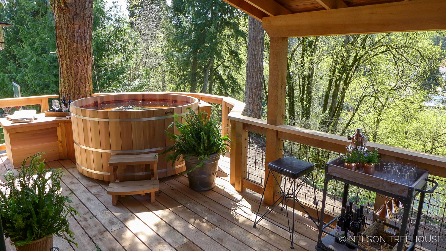  Hot Tub Treehouse - Nelson Treehouse 