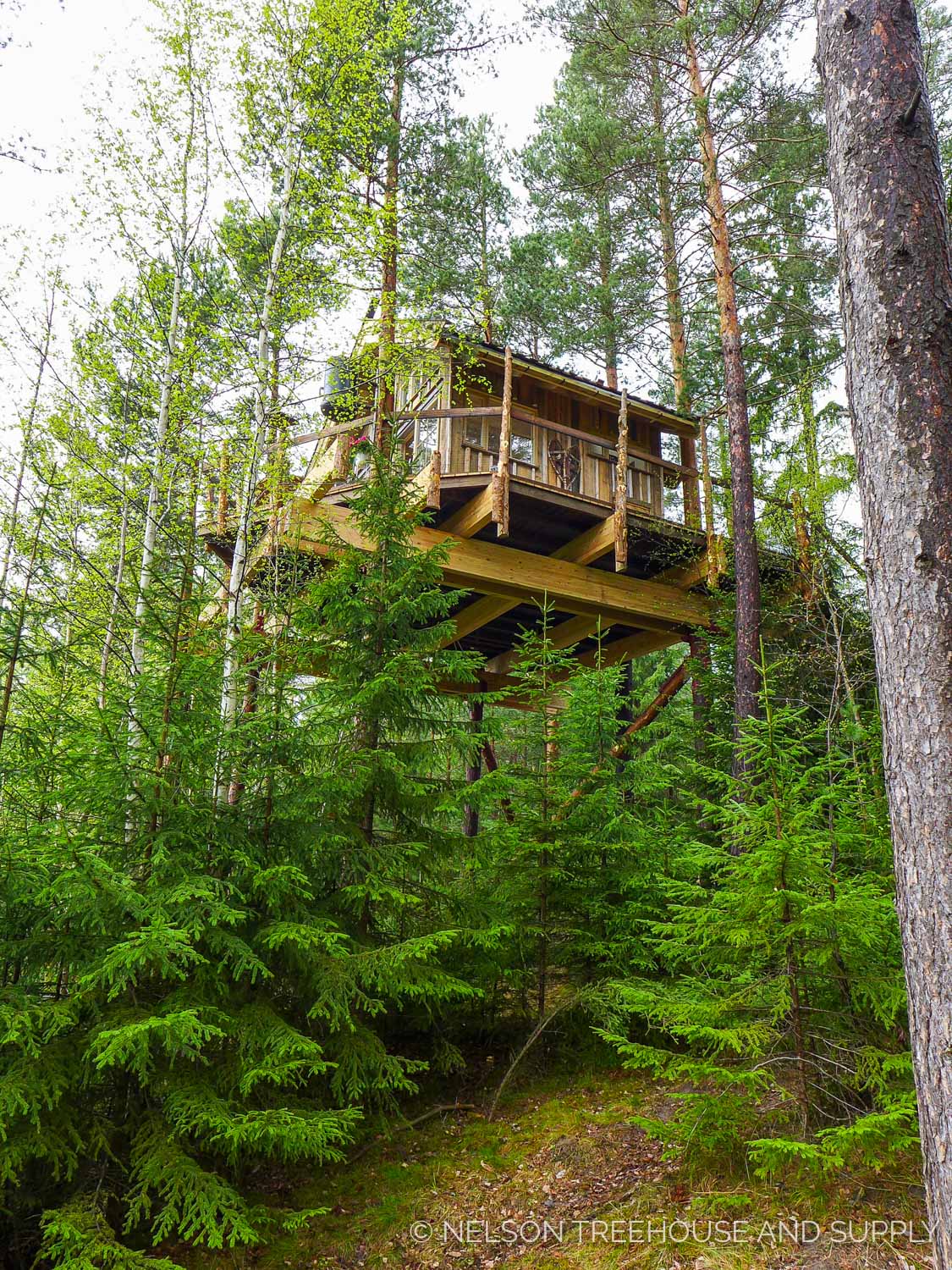 Treehouse Masters Season A Treehouse Fit for a Viking Nelson Treehouse