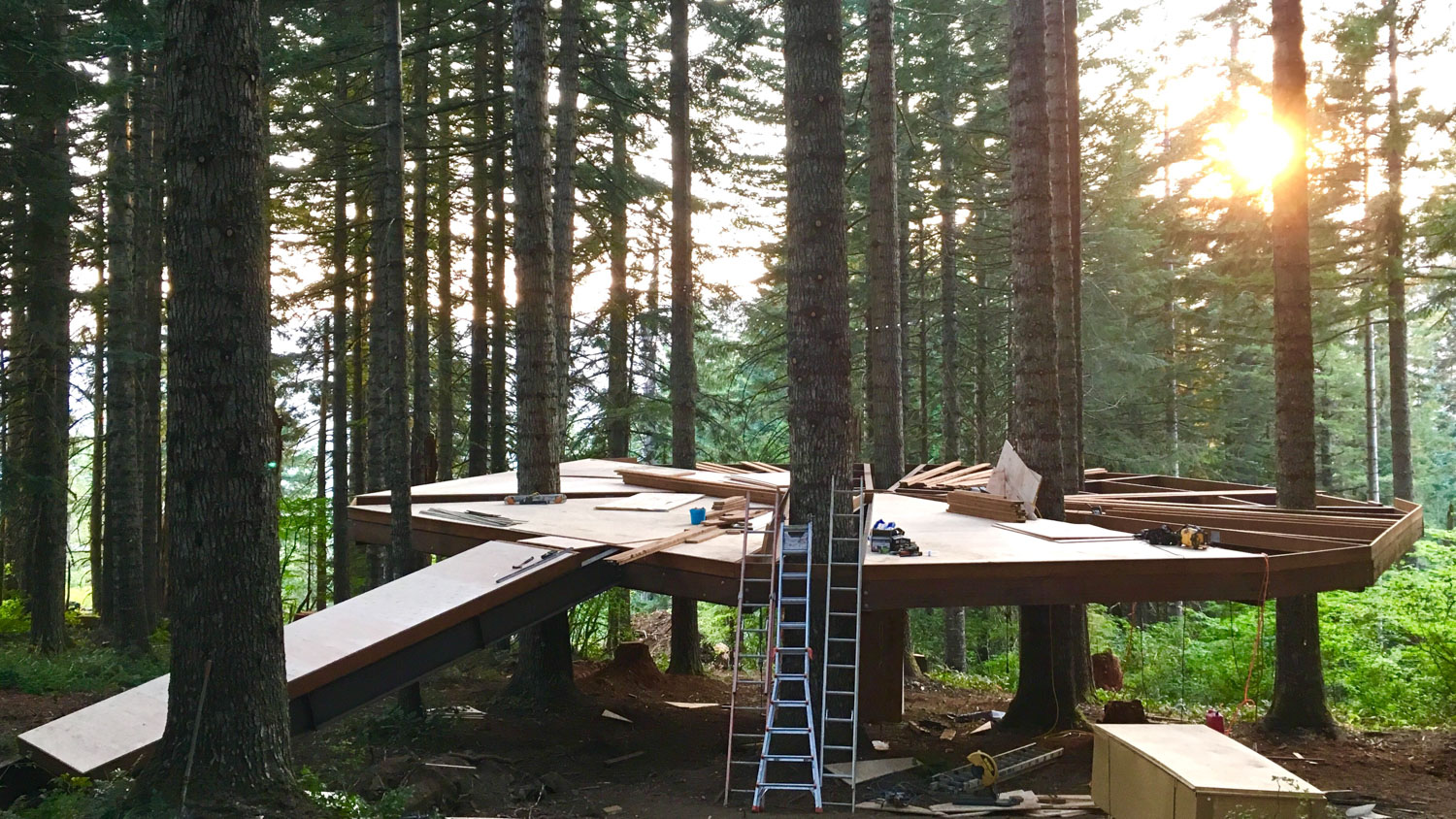 Enormous tree-deck built by a father for his daughter's wedding ...