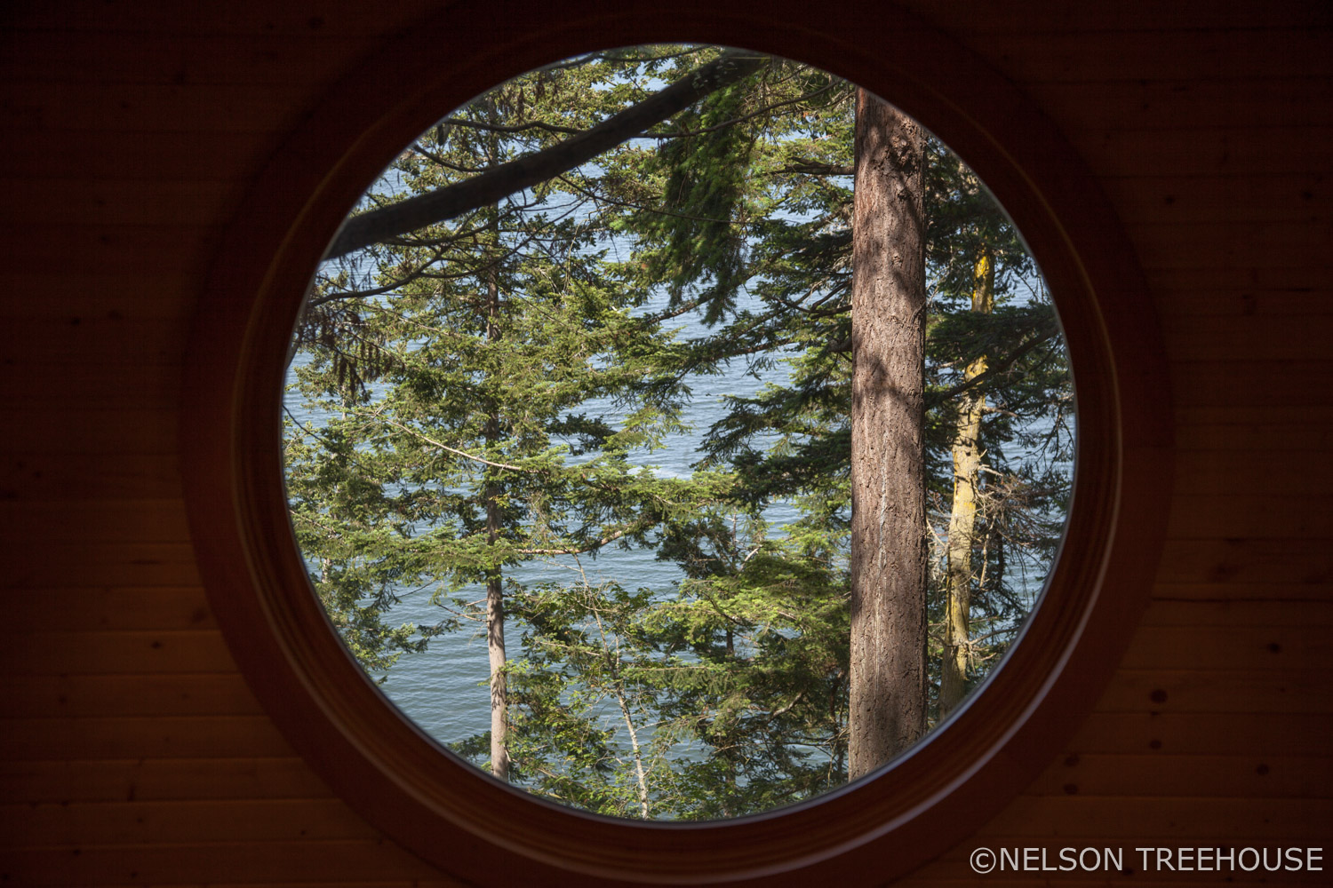  Through the oculus - Nelson Treehouse 