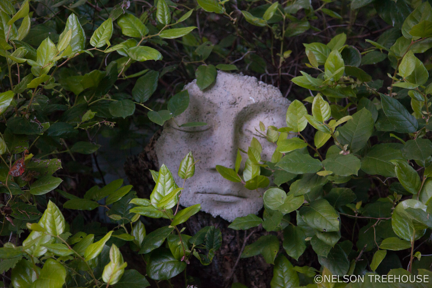  seaside Treehouse - Nelson Treehouse - Sculpture 