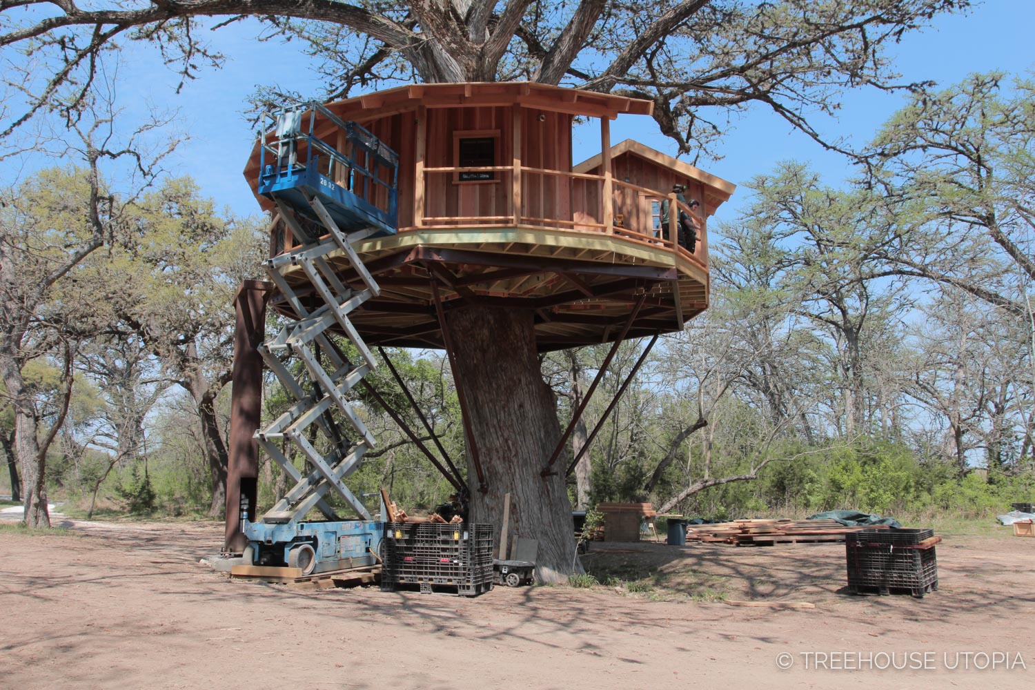 Treehouse Utopia – Renew! Refresh! Relax!