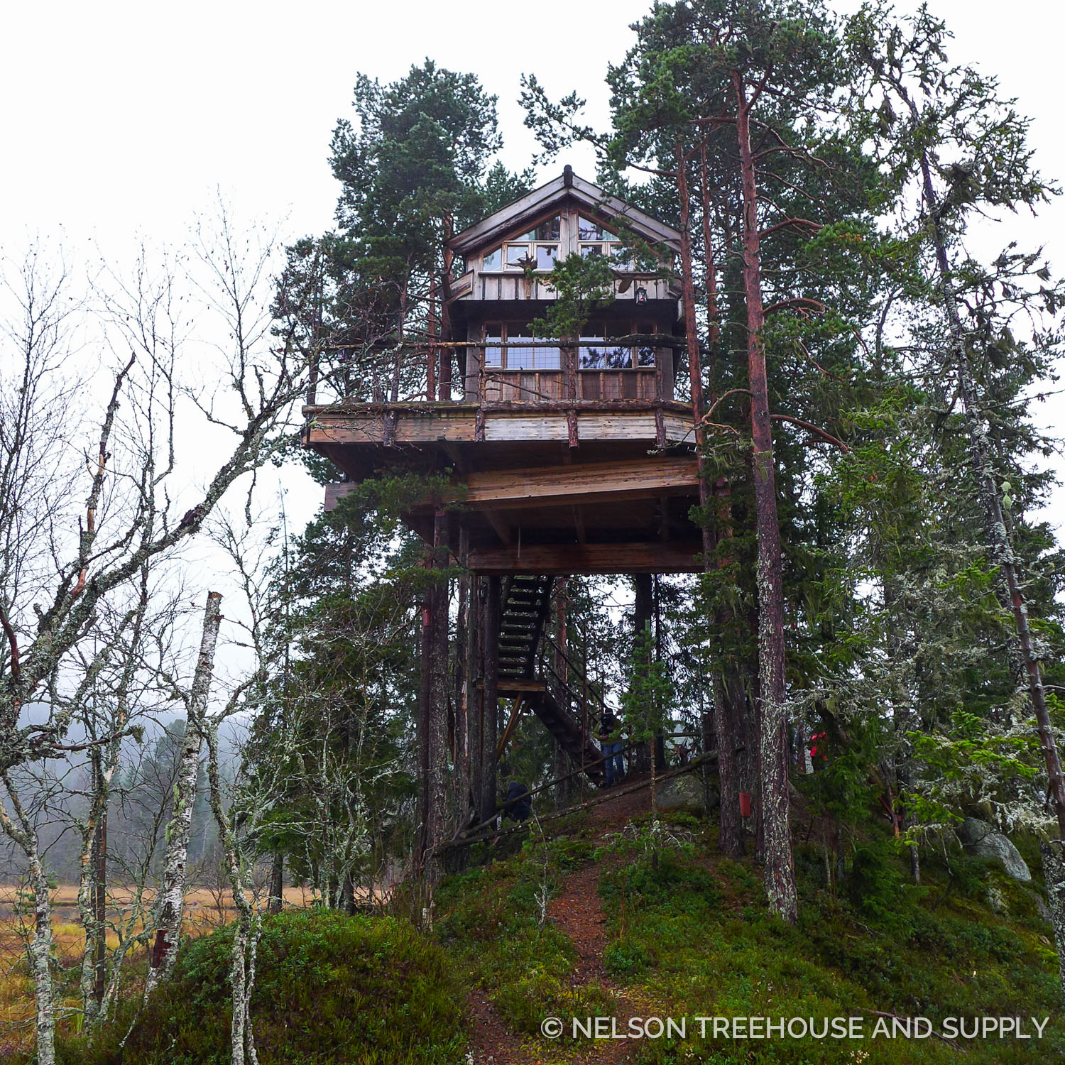 Pete's Favorite Moments from his Scandinavian Treehouse -