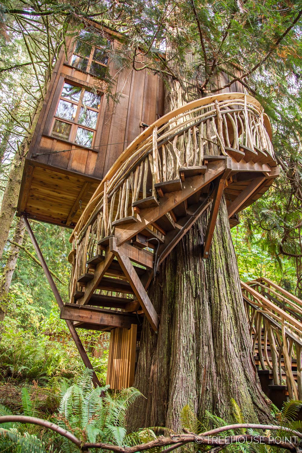 It s tree house. Пит Нельсон дома на деревьях. Питер Нельсон дома на деревьях. Nelson Treehouse. Заброшенный домик на дереве.