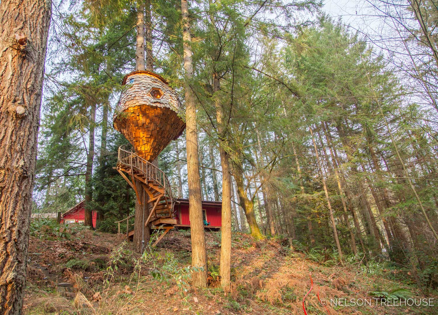  Base view of the Beehive Treehouse 