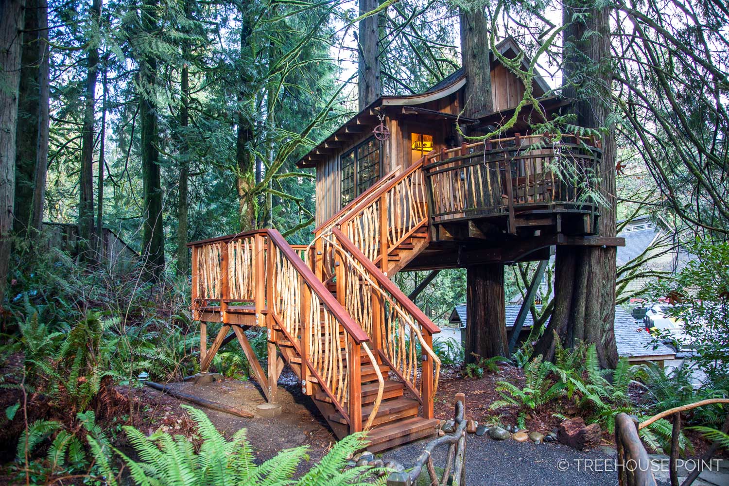 treehouse point tour