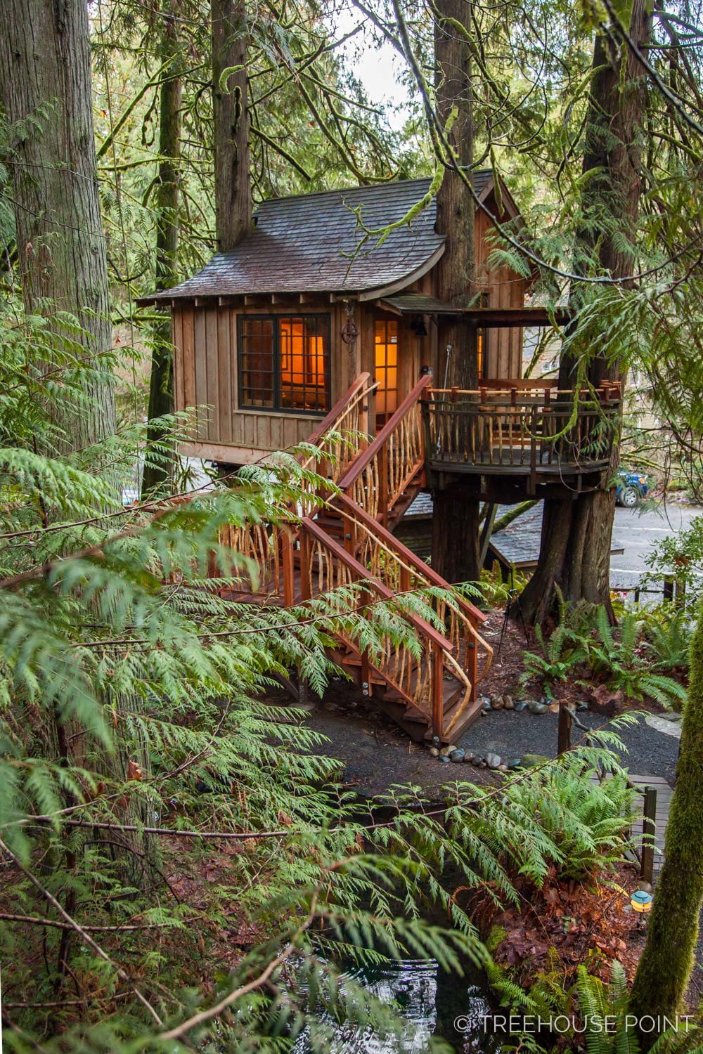 treehouse point tour