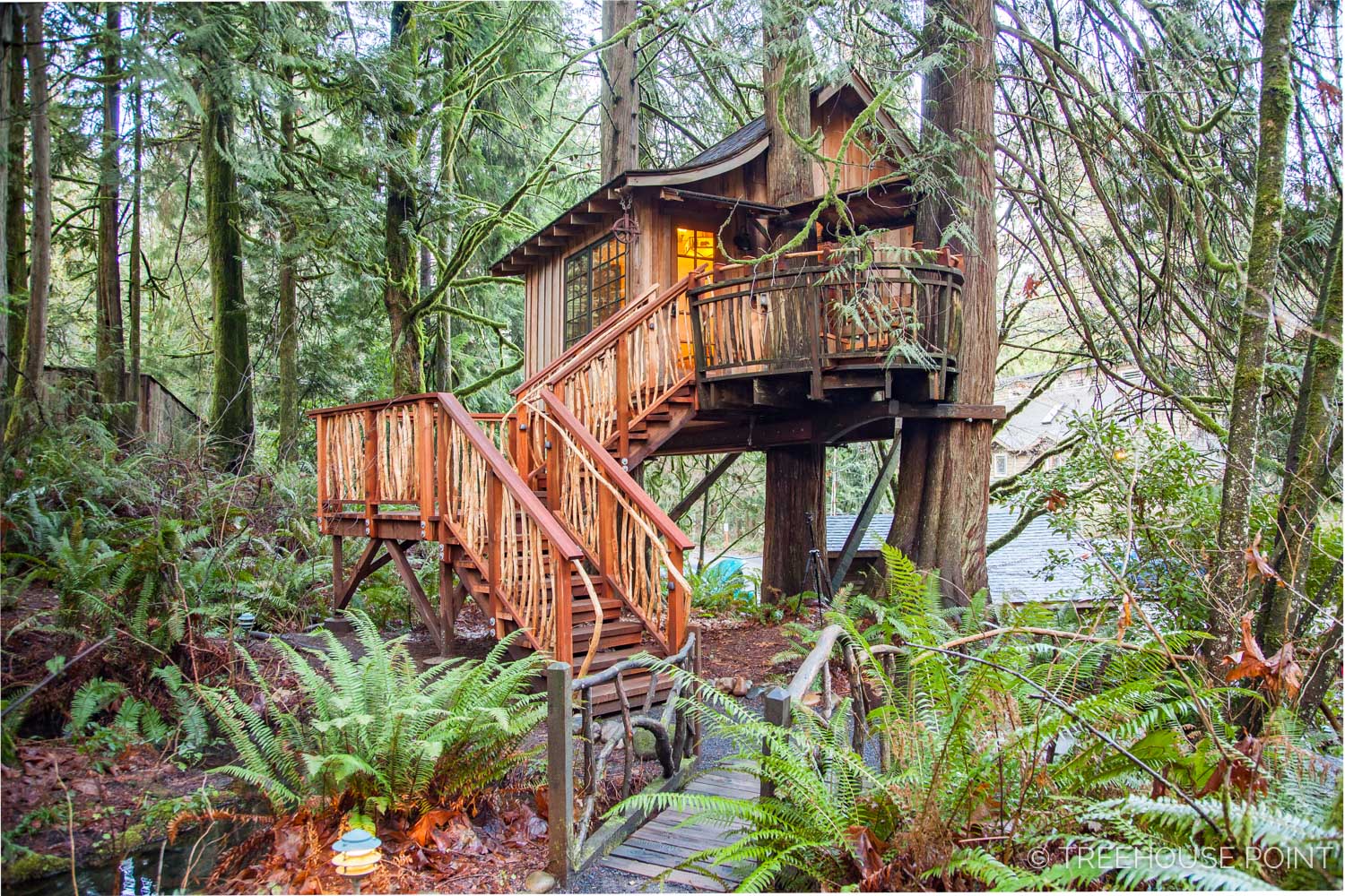 treehouse point tours