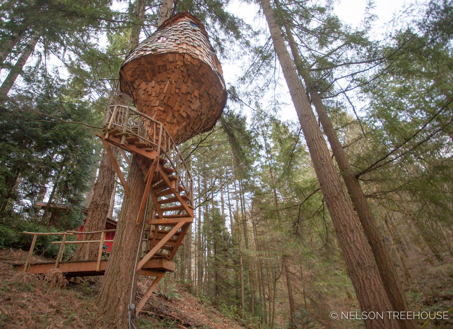  Staircase to the Beehive Treehouse 