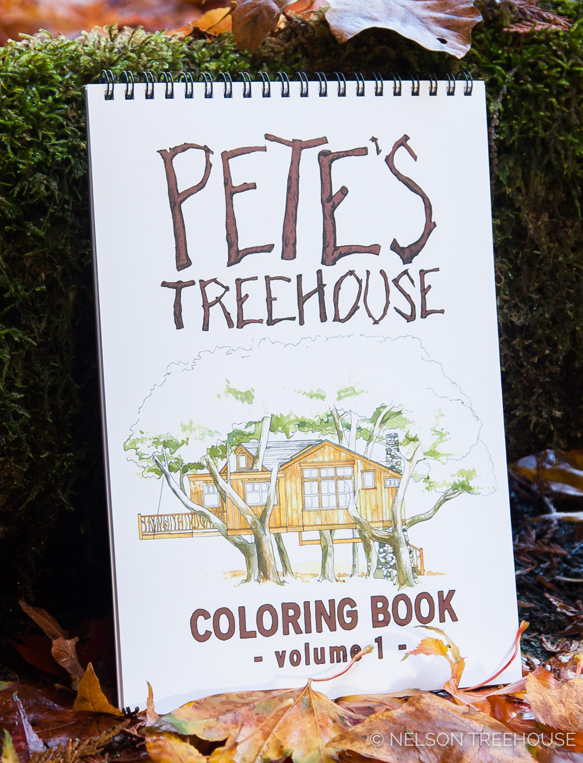  Pete Nelson COloring Book 