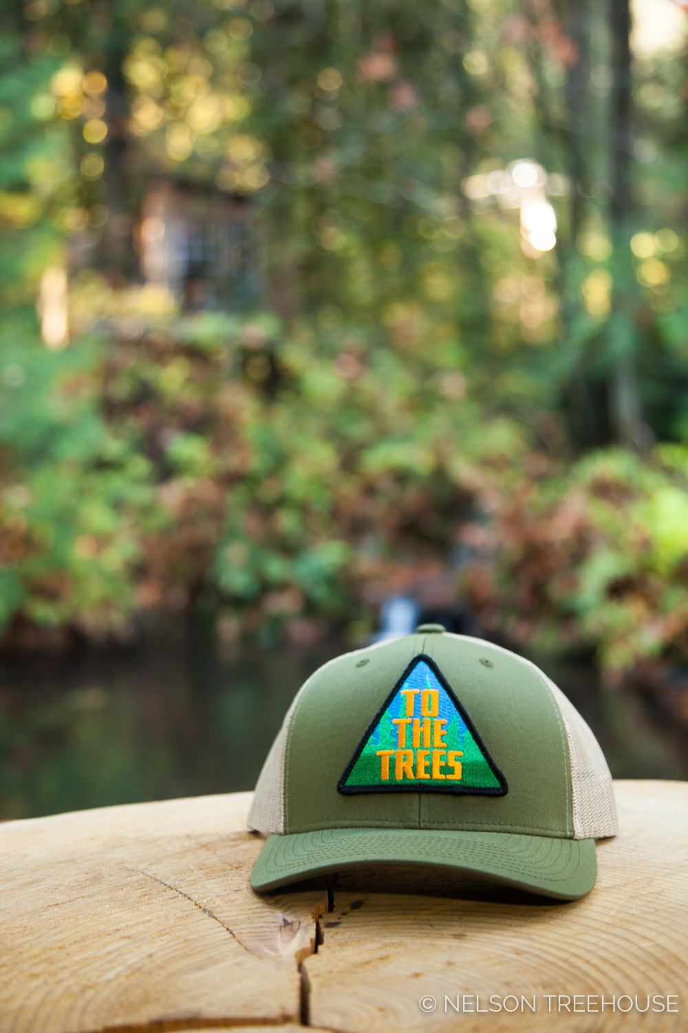  Nelson Treehouse Snapback Hat with To the Trees Patch 