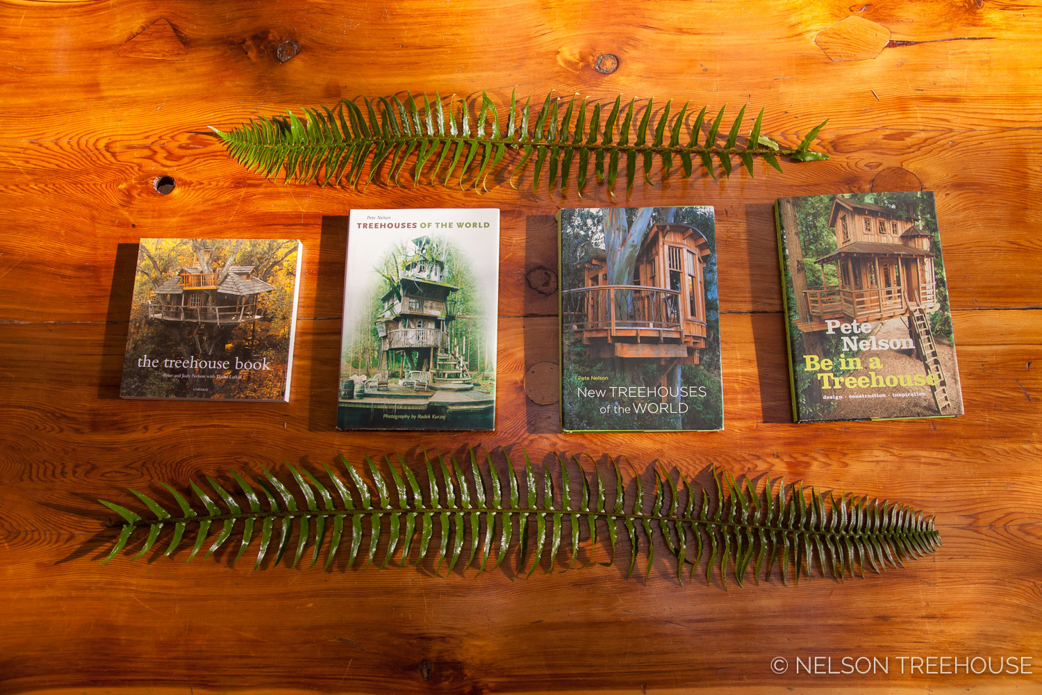  Pete Nelson Treehouse books 