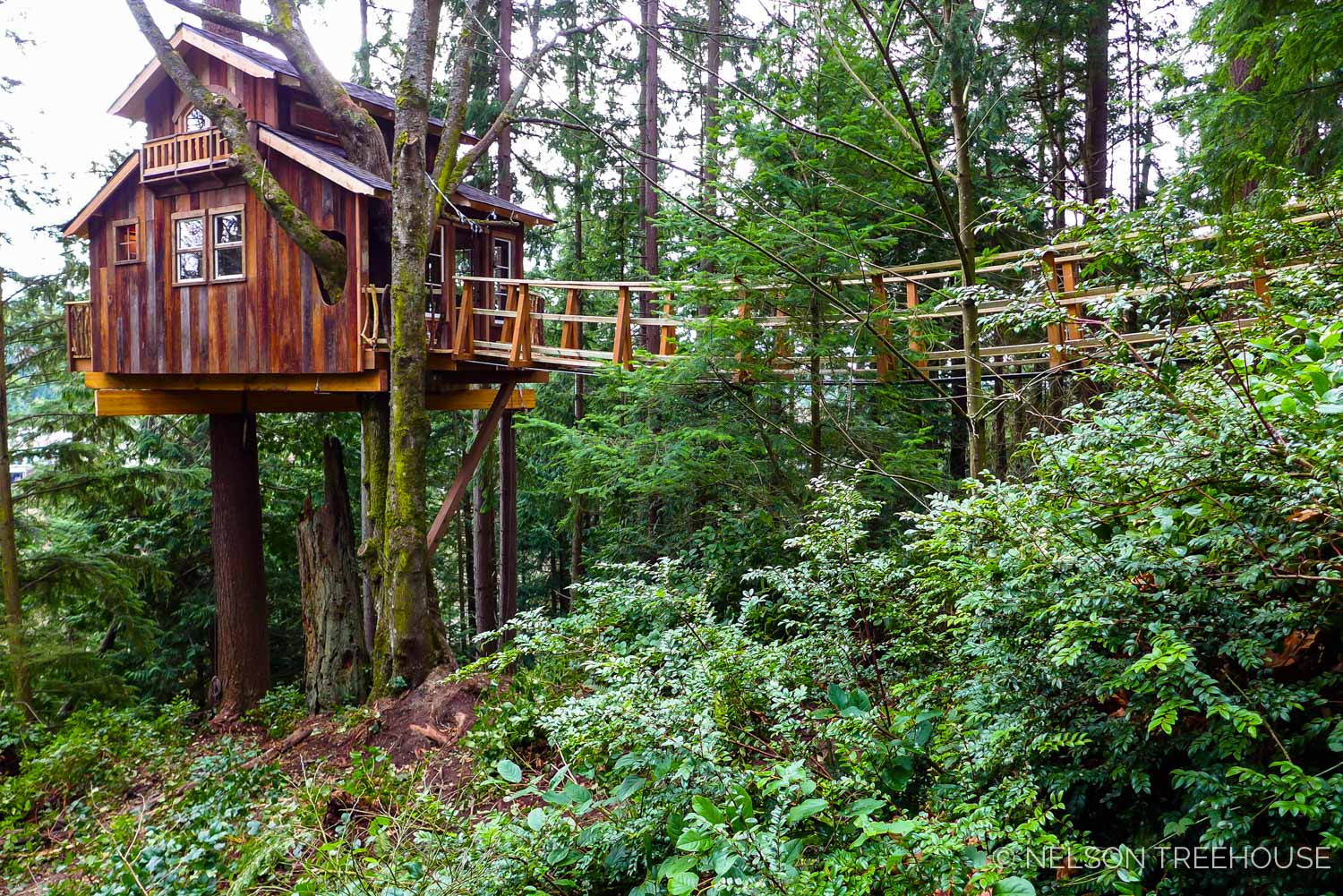 How we build bouncy suspension bridges to treehouses - Nelson Treehouse