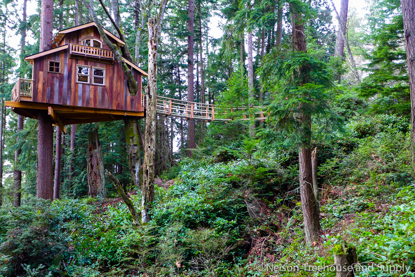  Pirate Treehouse in Washington State 