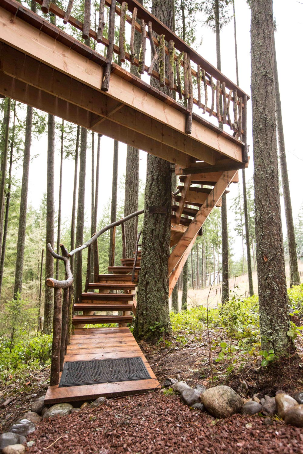  Safari Treehouse Stairway 