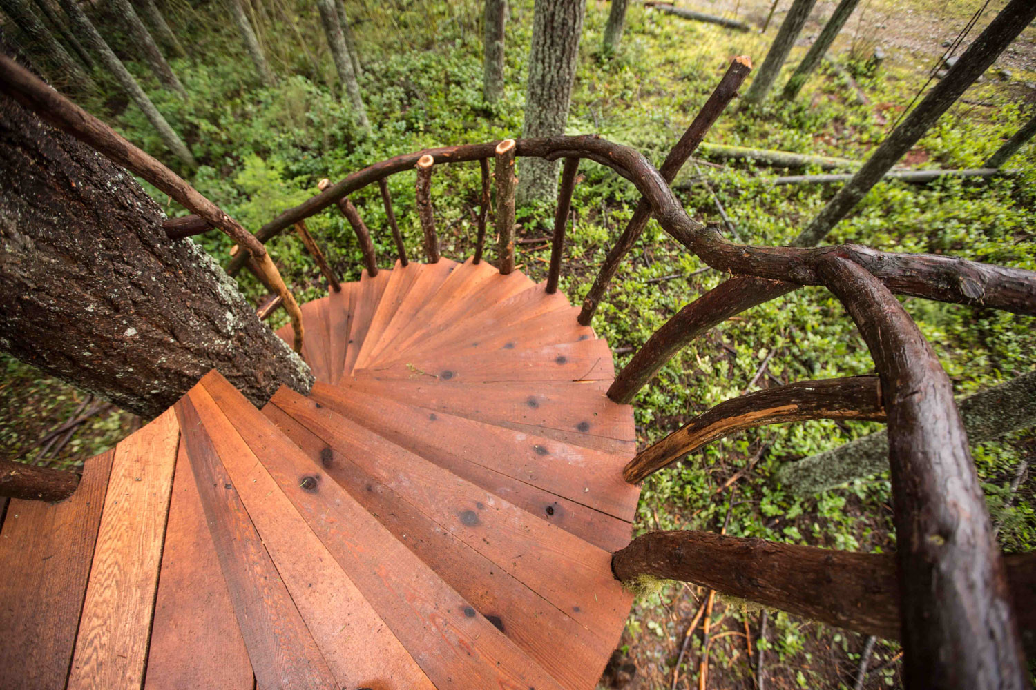  Safari Treehouse Natural Branch Railing 