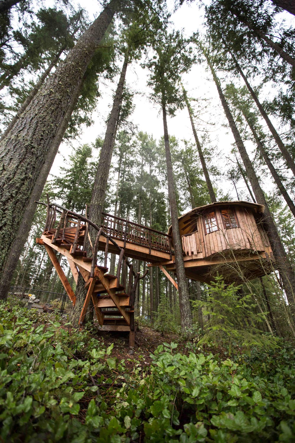  Safari Hut Treehouse 