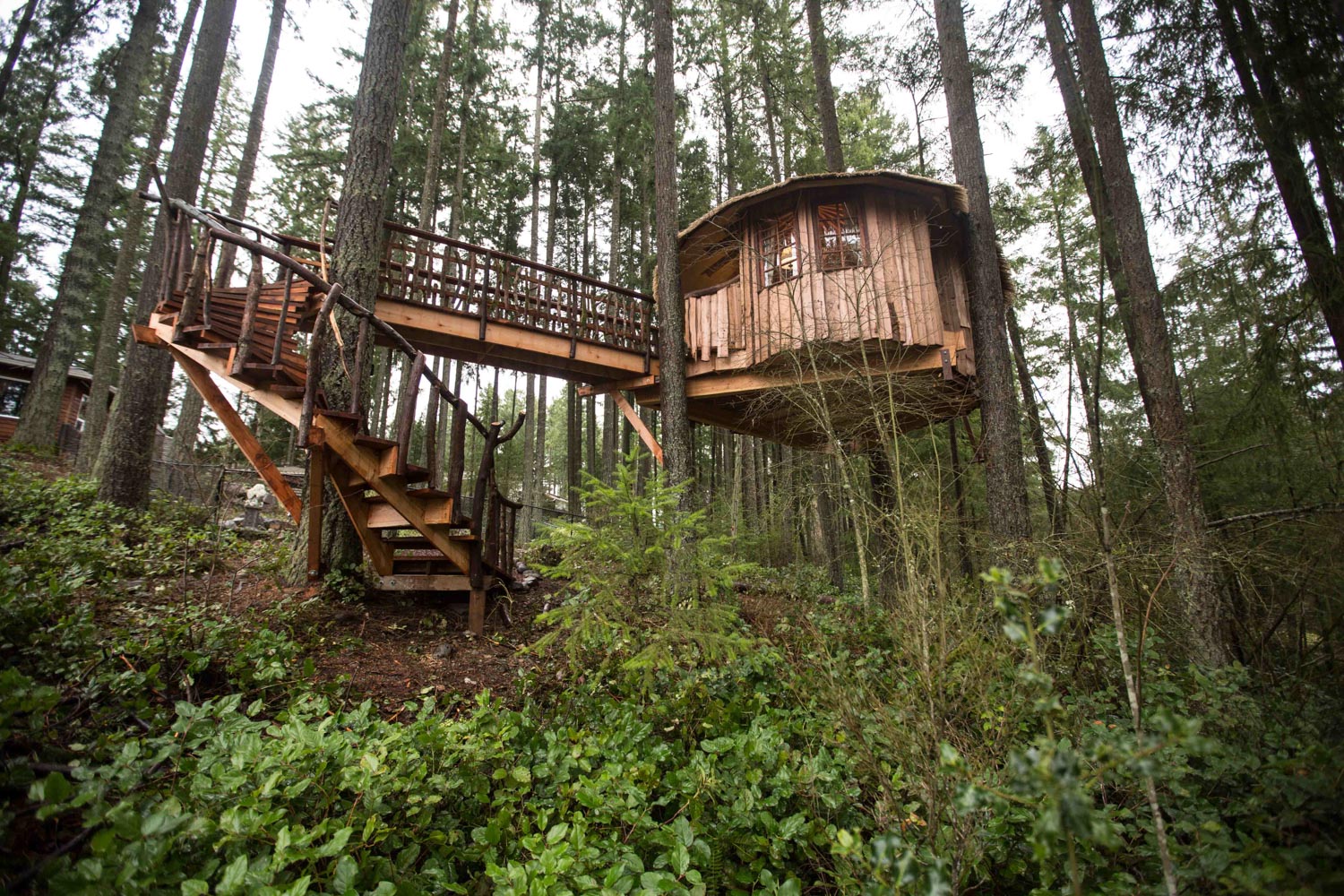  Safari Treehouse Facade 