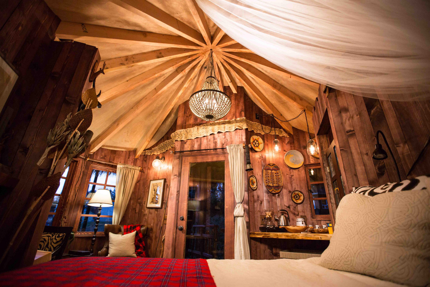  Safari Treehouse Interior 