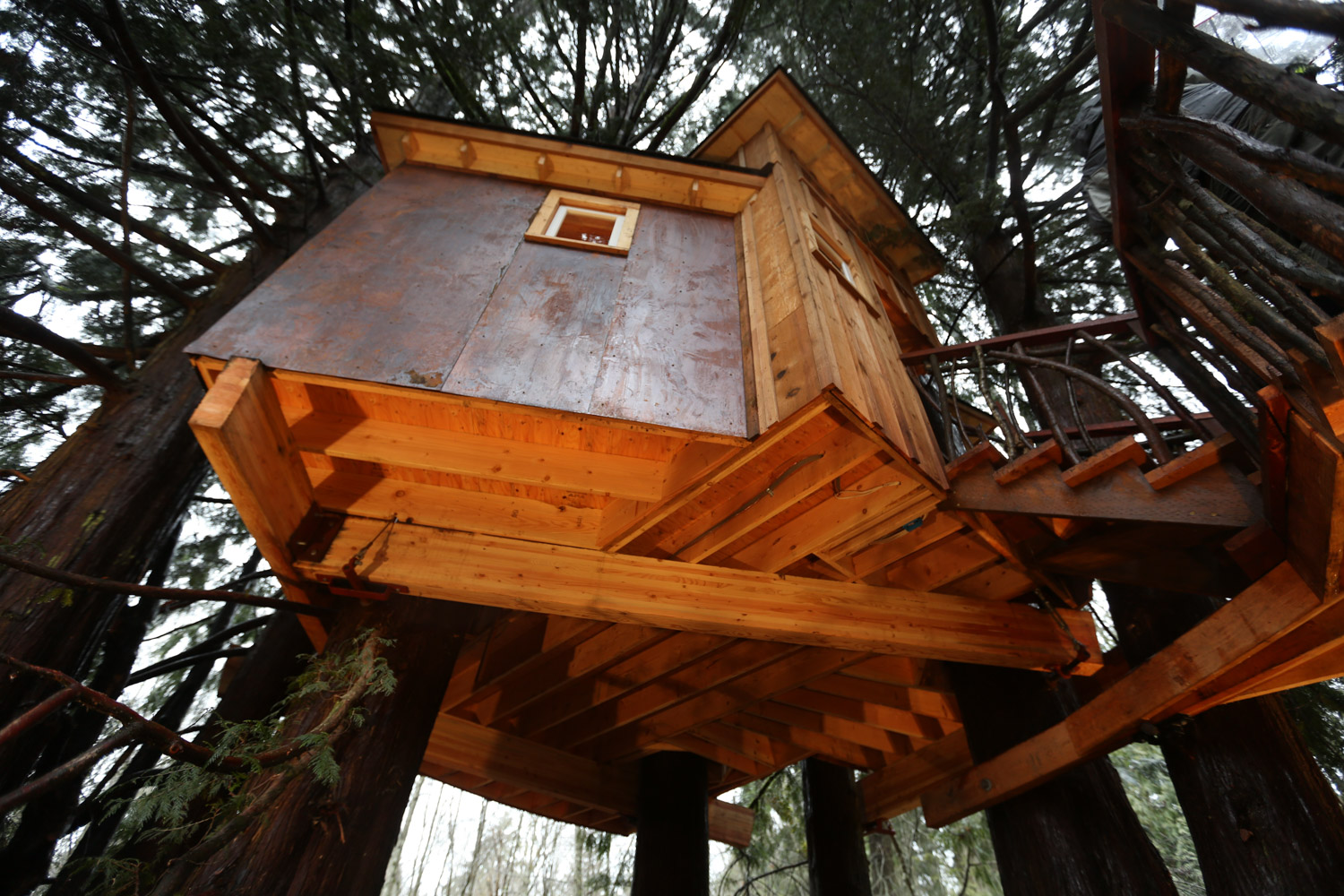  Nelson treehouse recording studio platform 