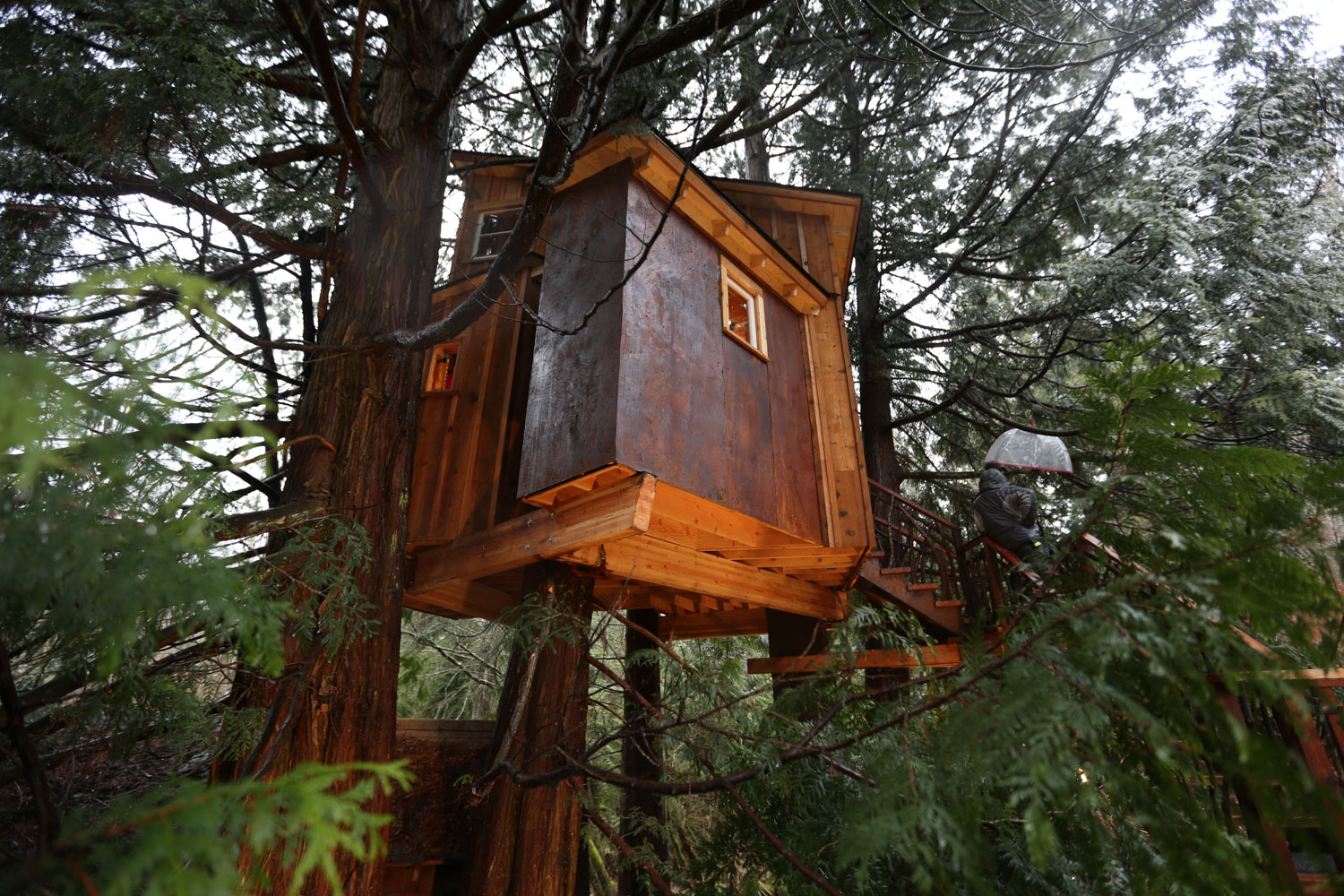  Nelson treehouse recording studio side view 
