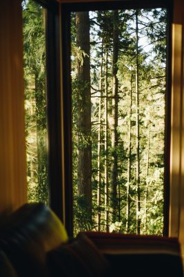 National Park Vibes for this Oregon Treehouse - Nelson Treehouse