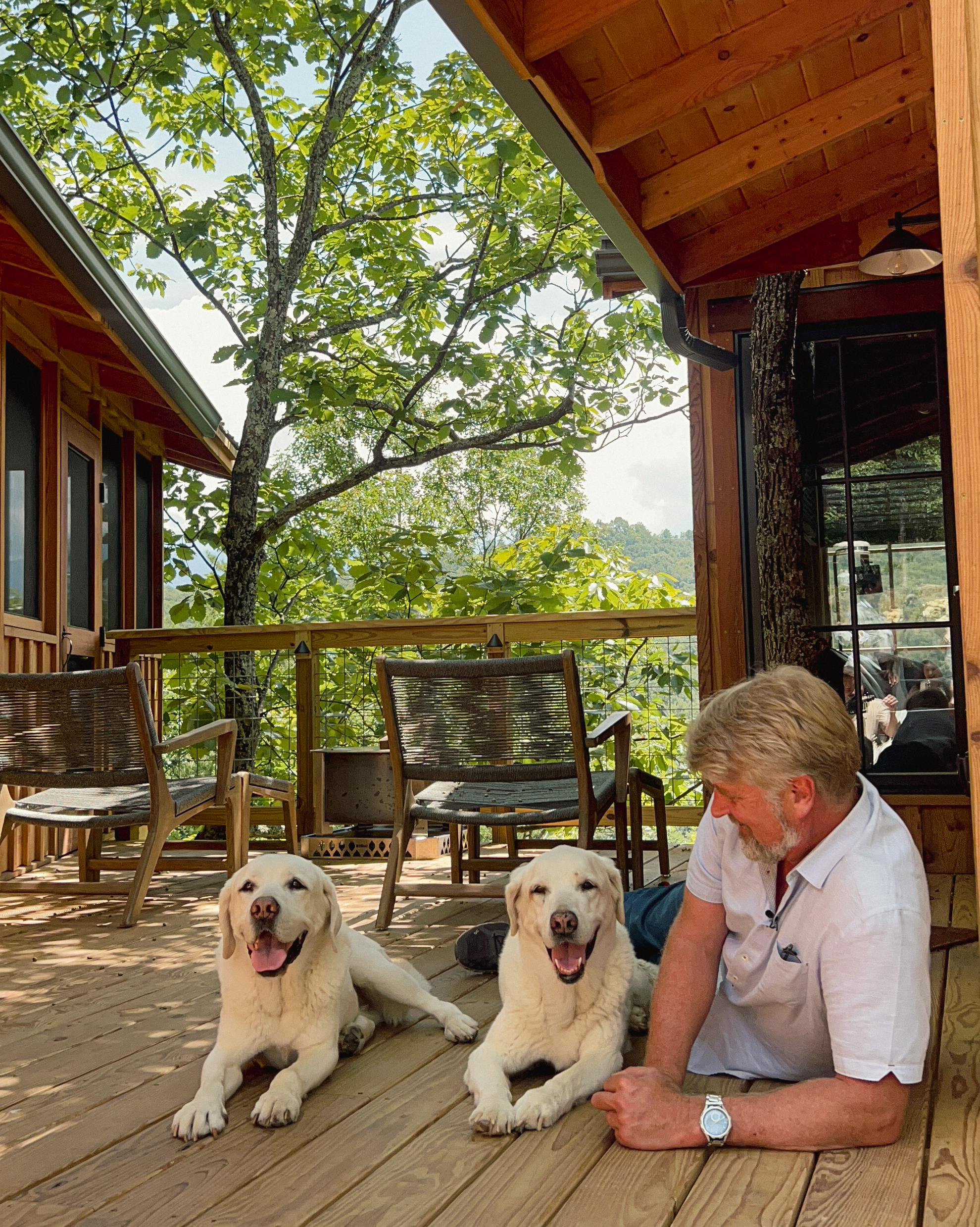 pet friendly treehouse