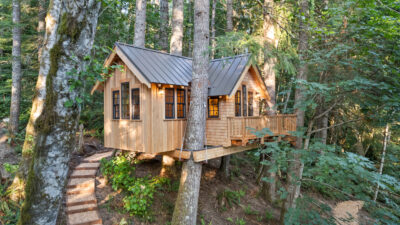 Unveiling Treehouse Mt. Rainier - Nelson Treehouse