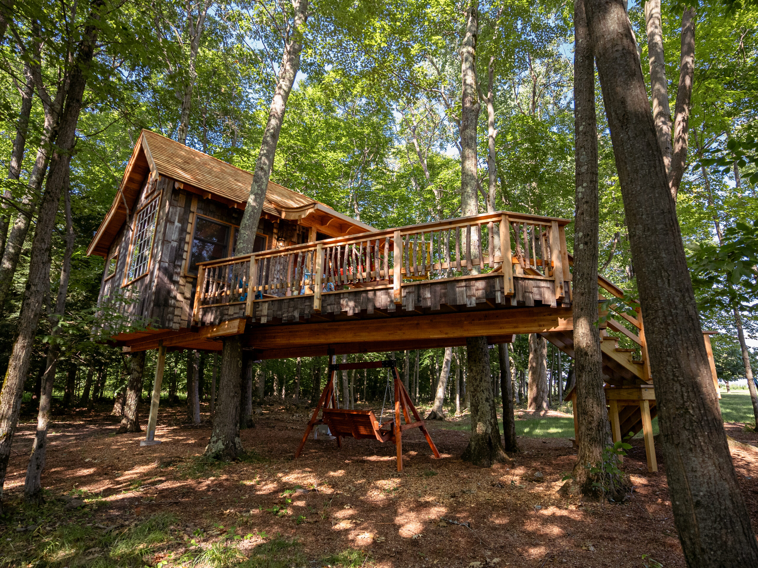 Amy Schumer's Whimsical Treehouse