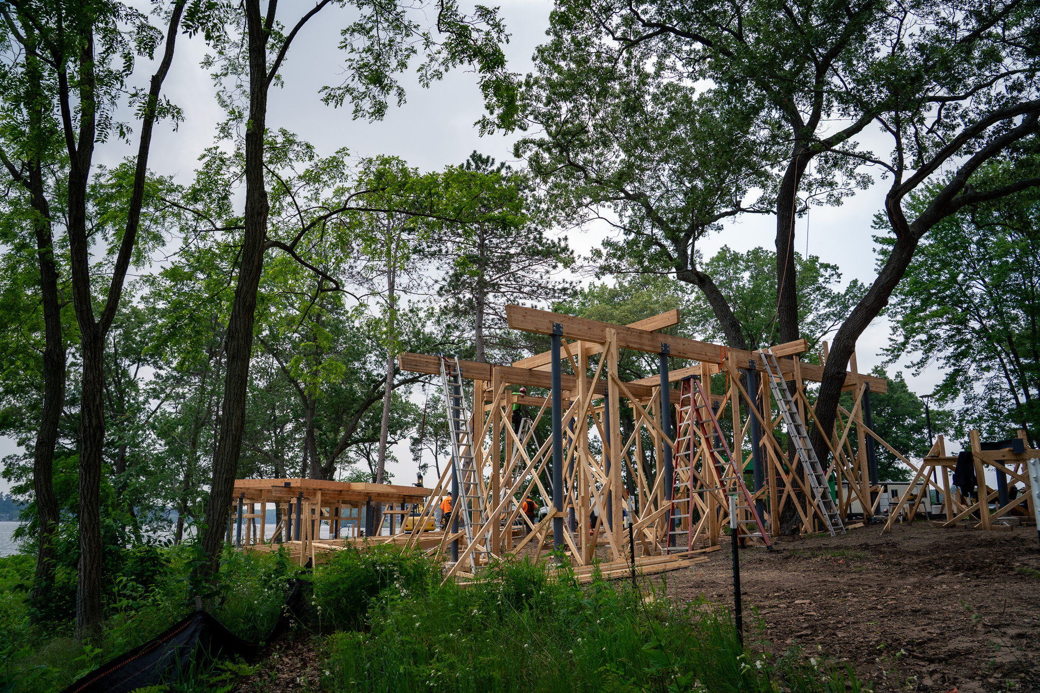 The Treehouses at Kalahari Adventure Collection Begins
