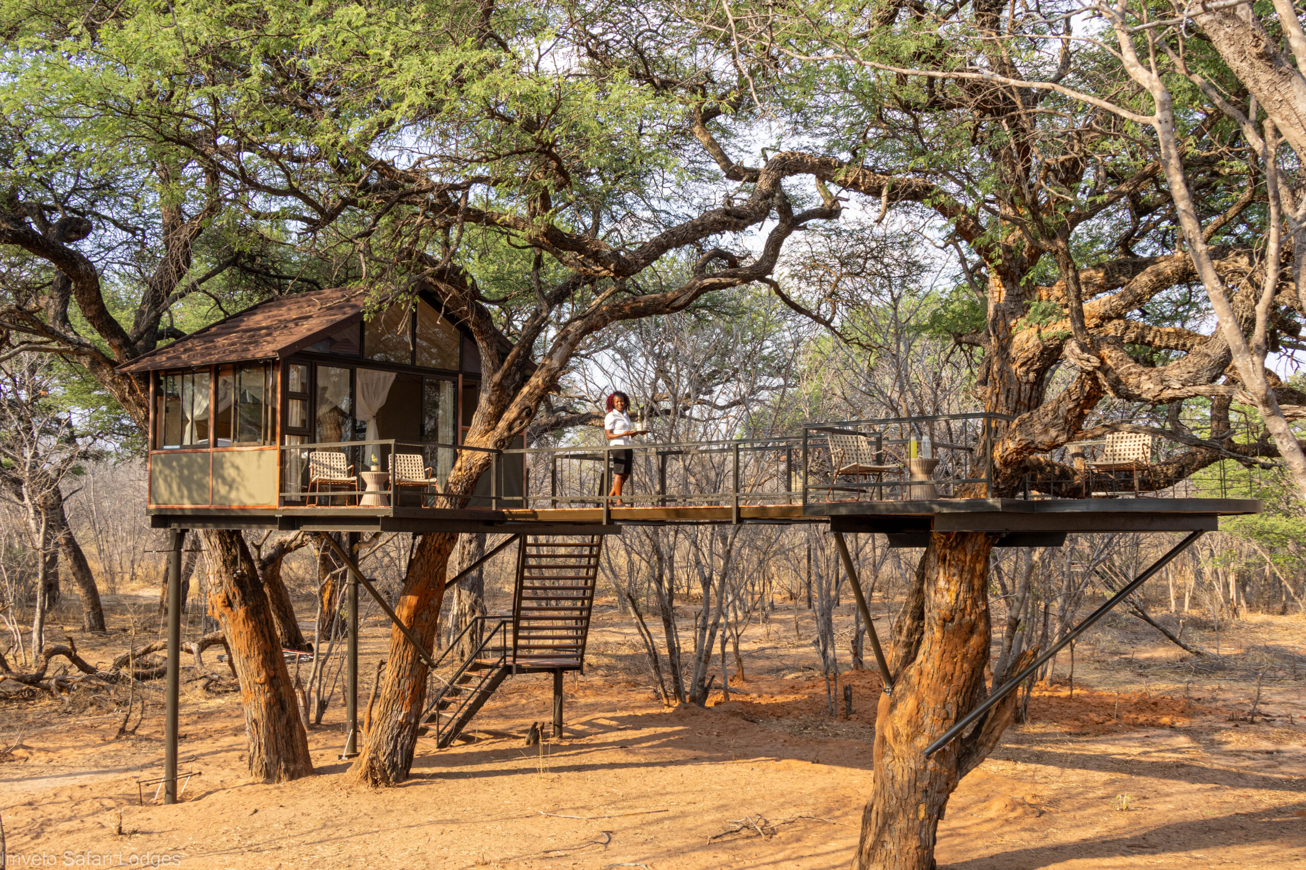 Introducing the Tum Tum Treehouse Lodge in Zimbabwe