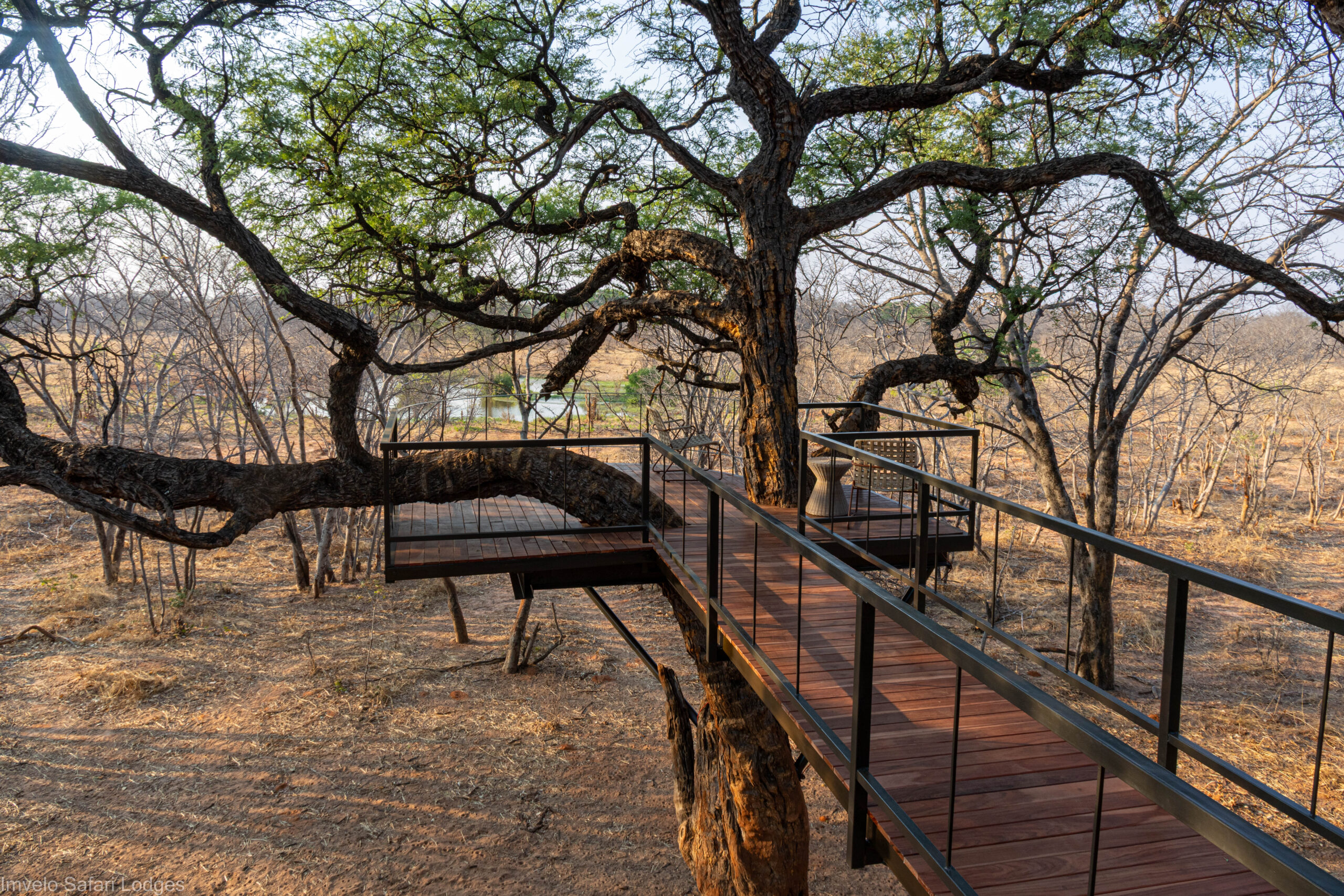 Introducing the Tum Tum Treehouse Lodge in Zimbabwe