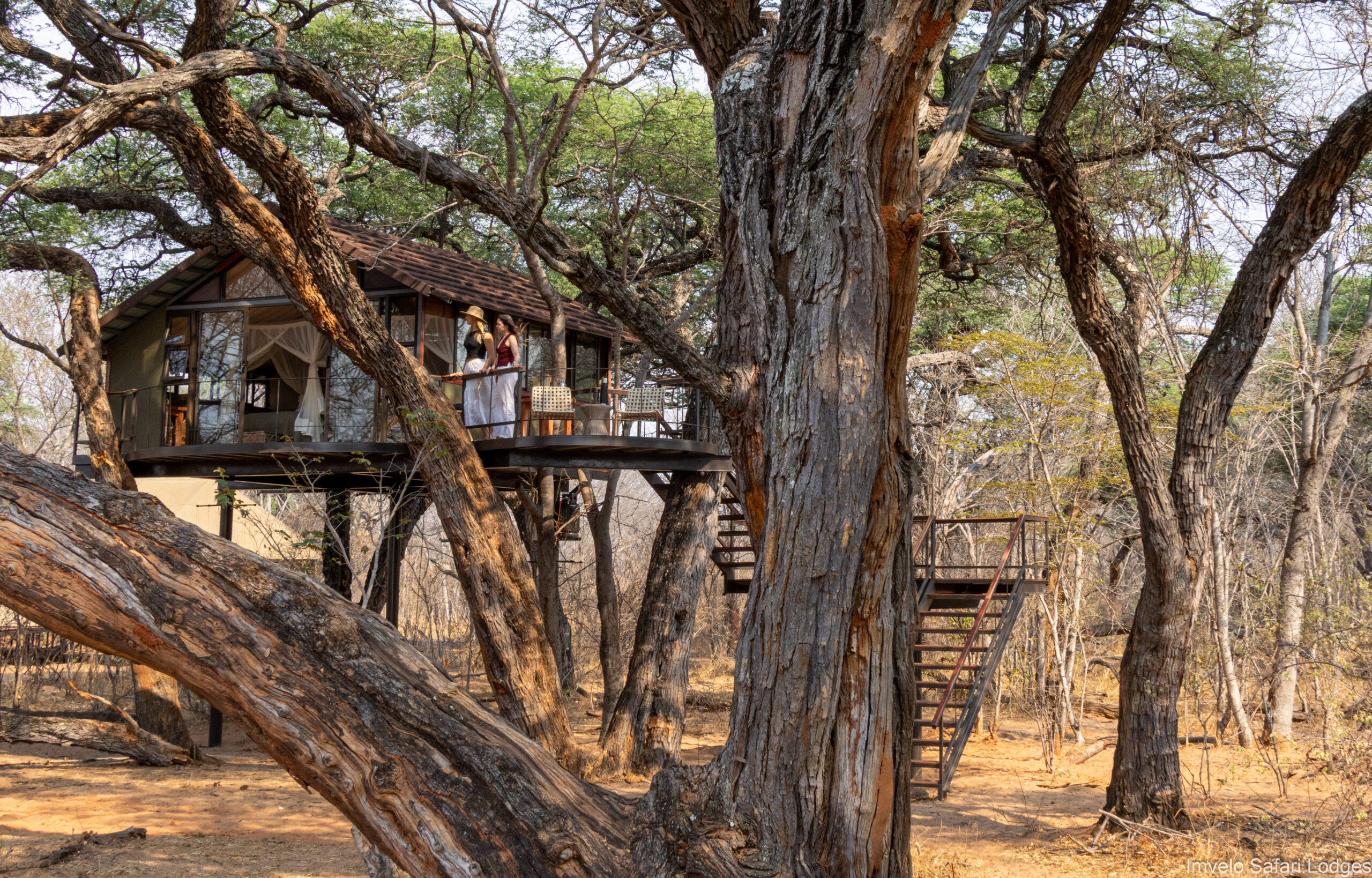 Introducing the Tum Tum Treehouse Lodge in Zimbabwe