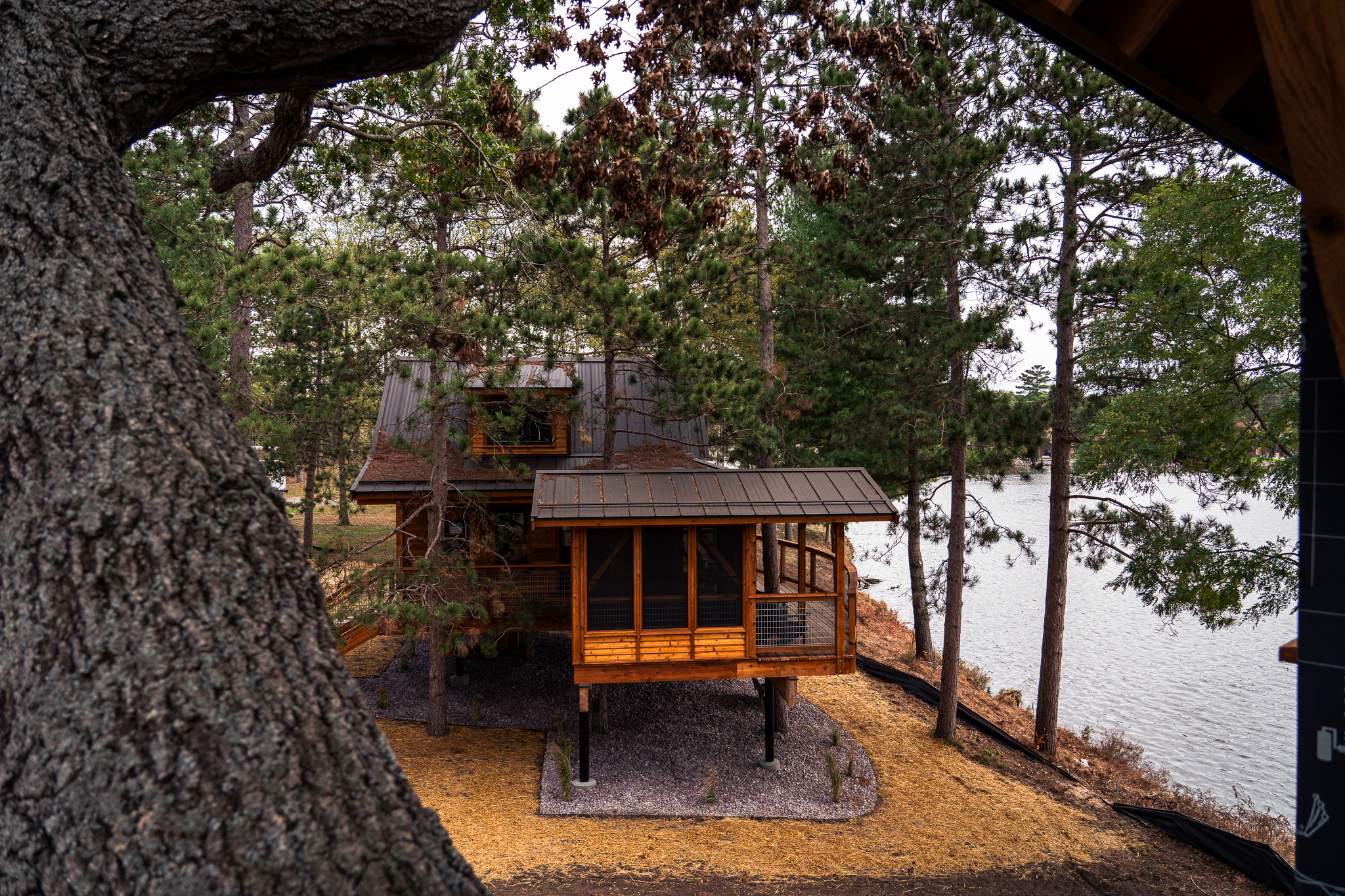 treehouse rentals at kalahari resorts